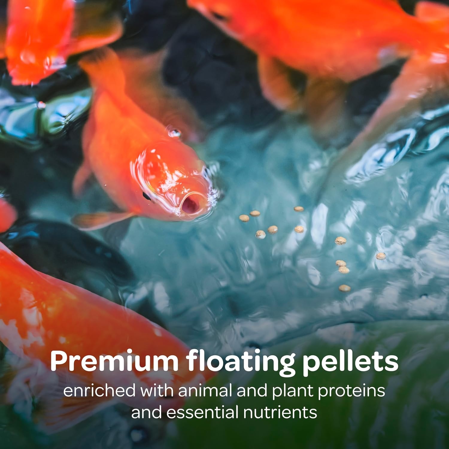 image:imageKaytee Kois Choice Floating Fish Food for Koi Goldfish amp Pond Fish3 Pound Pack of 1
