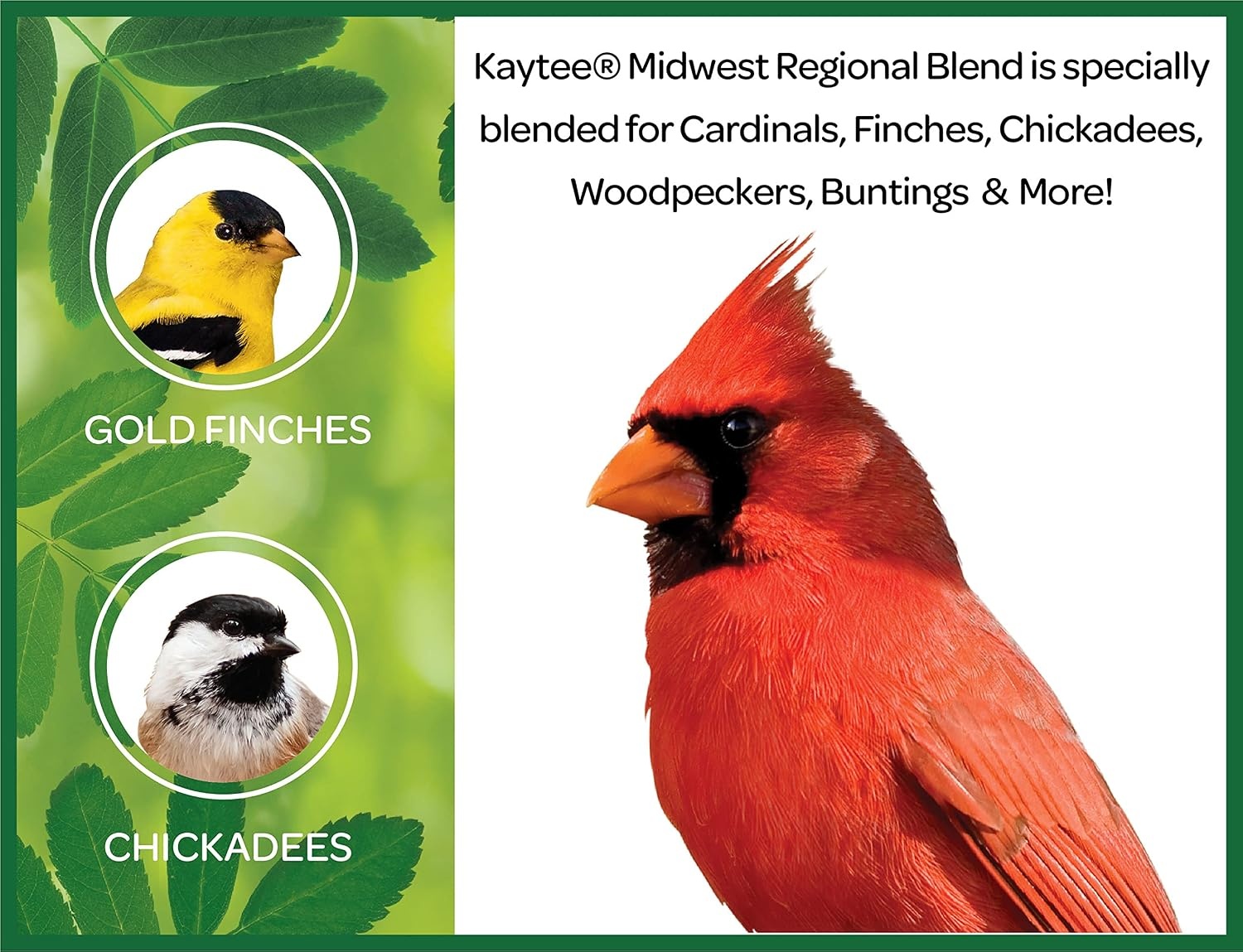 image:imageKaytee Midwest Regional Wild Bird Food 7 Pound14 Pound Pack of 1
