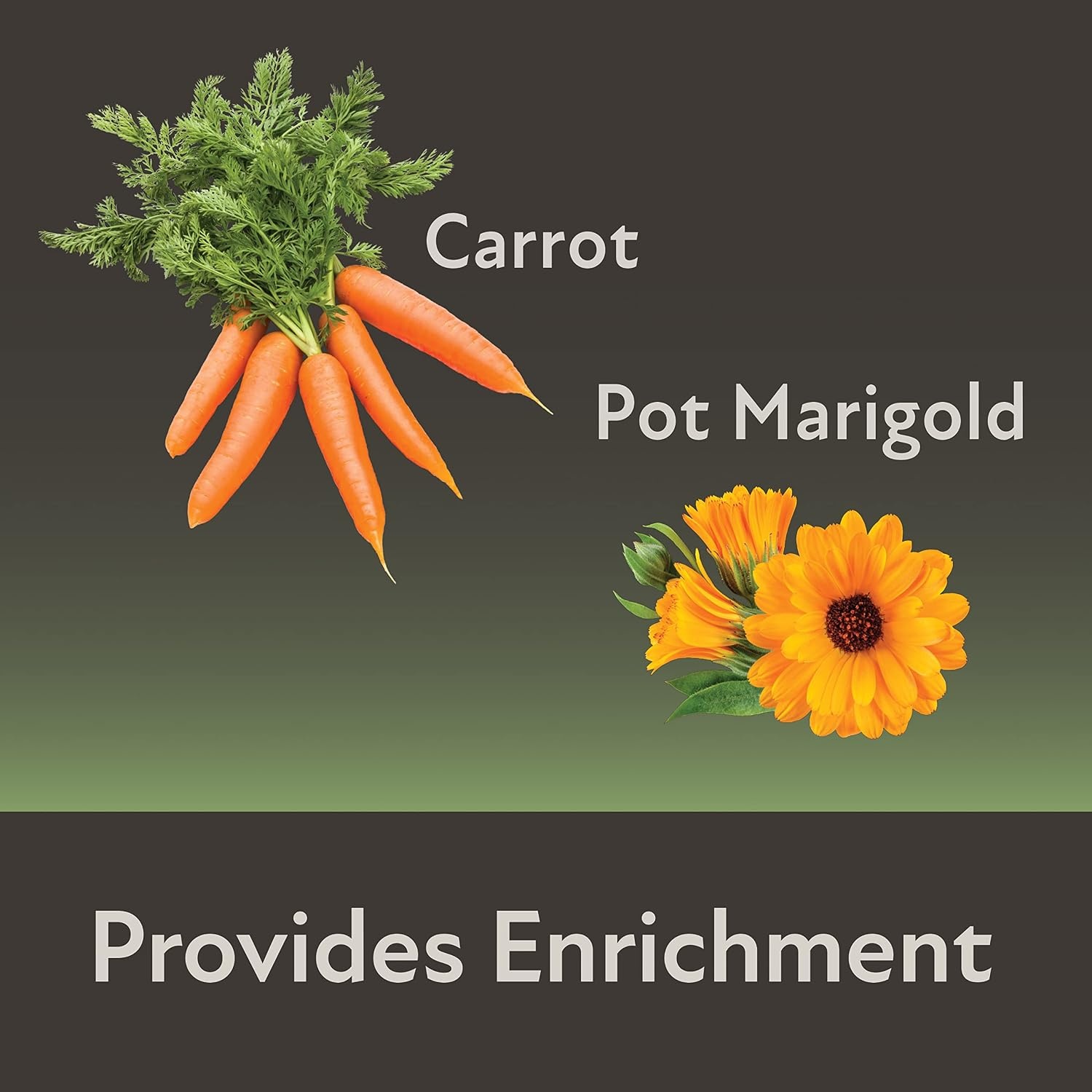 image:imageKaytee Mini Hay Bales Carrot and Marigold 2 Pack 7 OuncesCarrot and Marigold