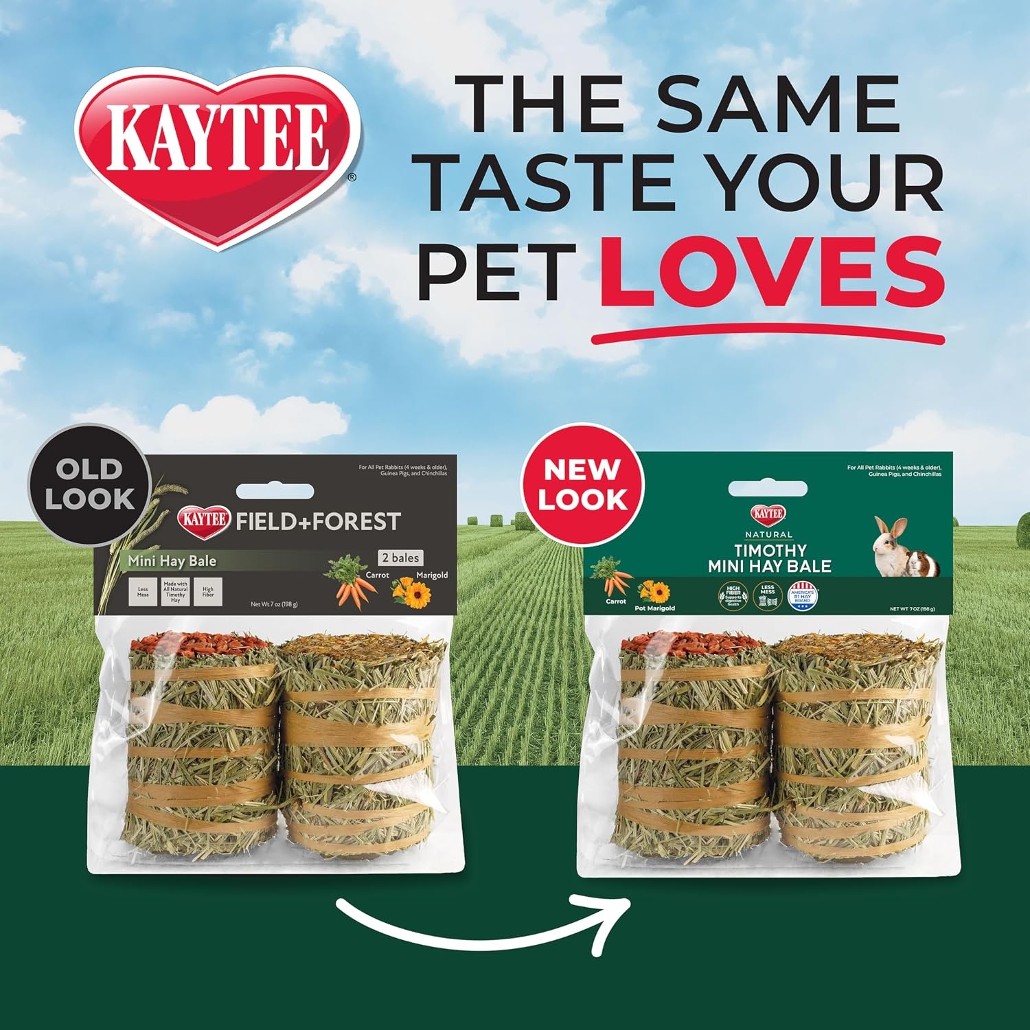 image:imageKaytee Mini Hay Bales Carrot and Marigold 2 Pack 7 OuncesCarrot and Marigold