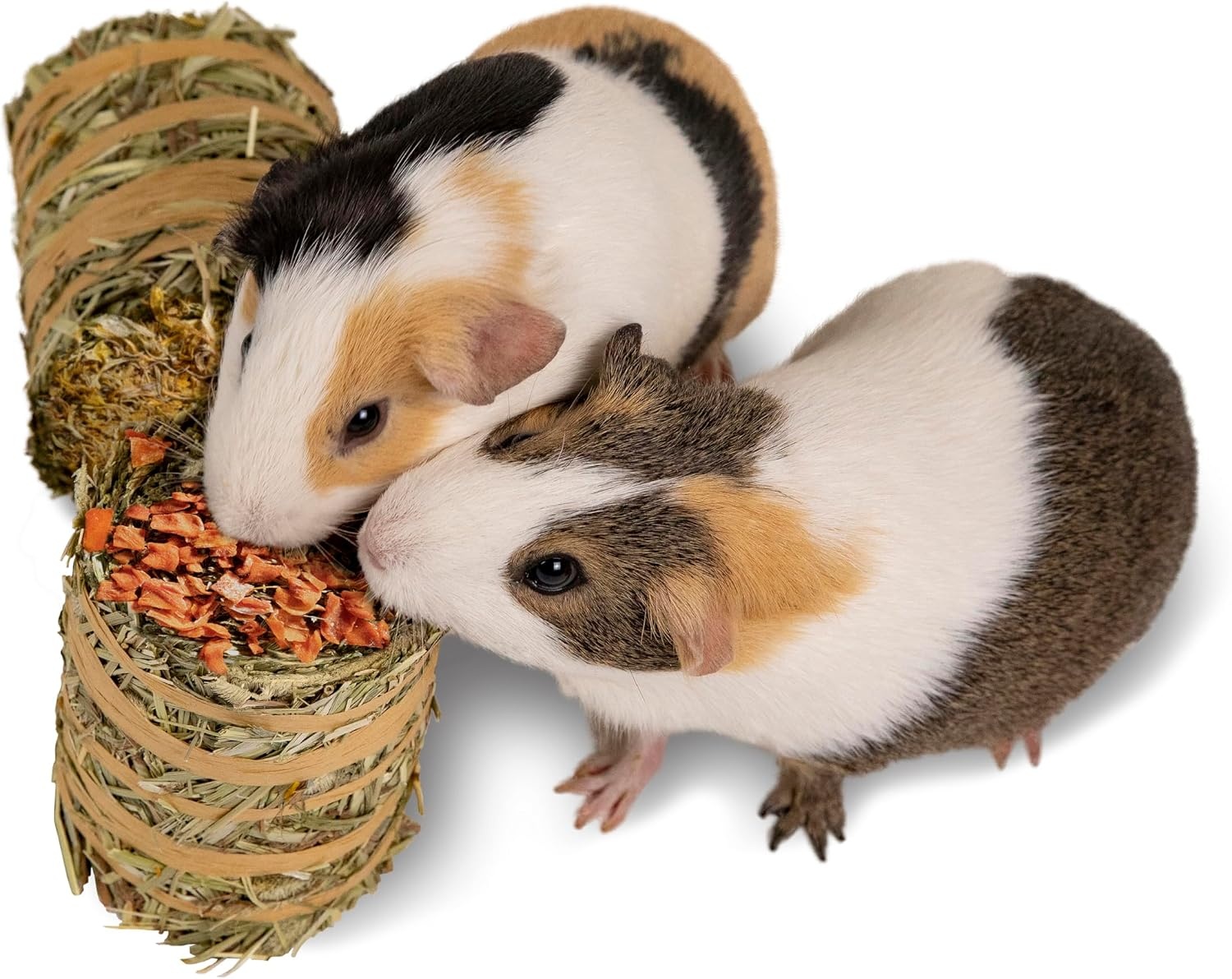 image:imageKaytee Mini Hay Bales Carrot and Marigold 2 Pack 7 OuncesCarrot and Marigold
