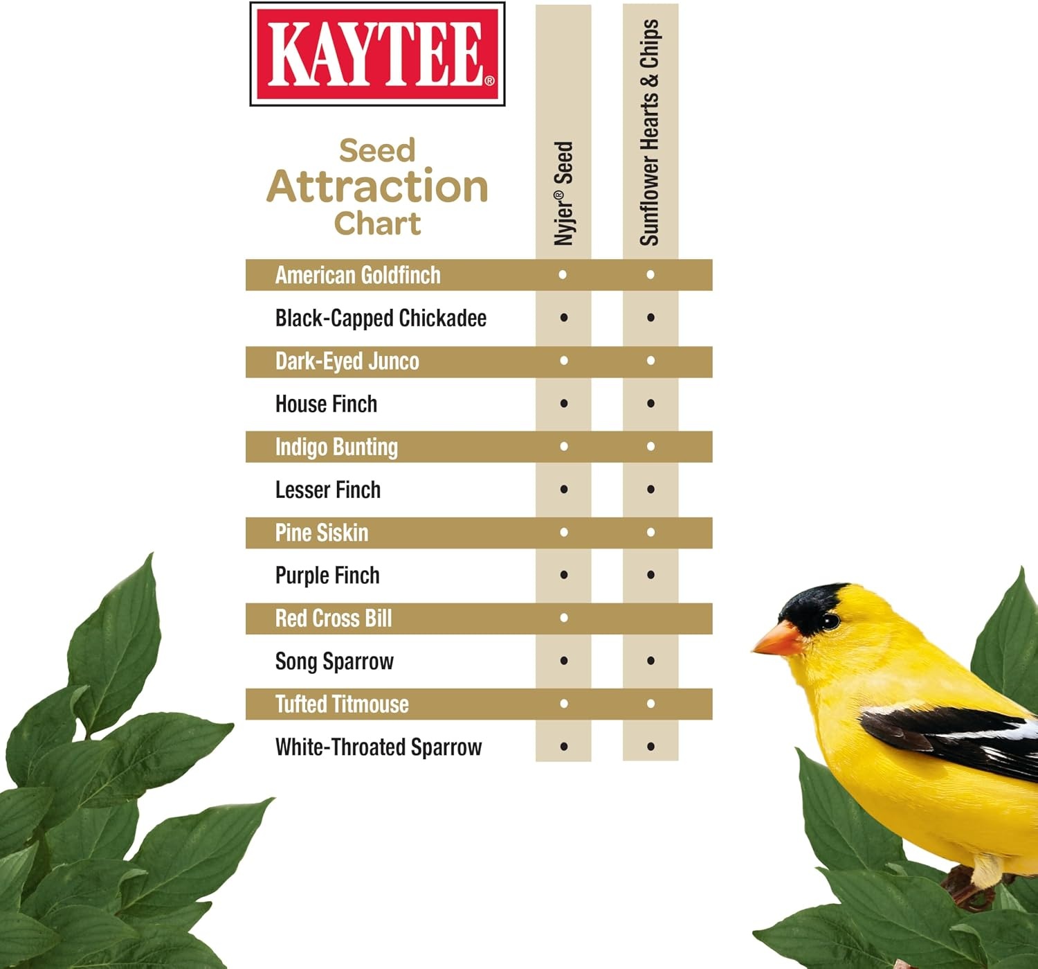 image:imageKaytee No Mess Finch Seed and Nyjer Blend Attracts Goldfinches Chickadees Junos Finches and Other Wild Birds 8 Pounds8 Pound Pack of 1