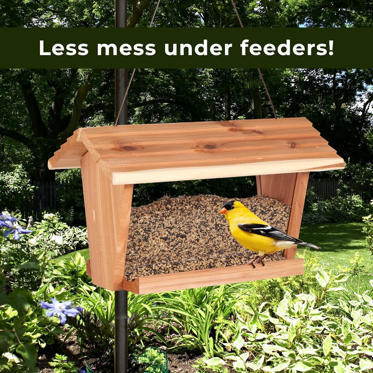 image:imageKaytee No Mess Finch Seed and Nyjer Blend Attracts Goldfinches Chickadees Junos Finches and Other Wild Birds 8 Pounds8 Pound Pack of 1