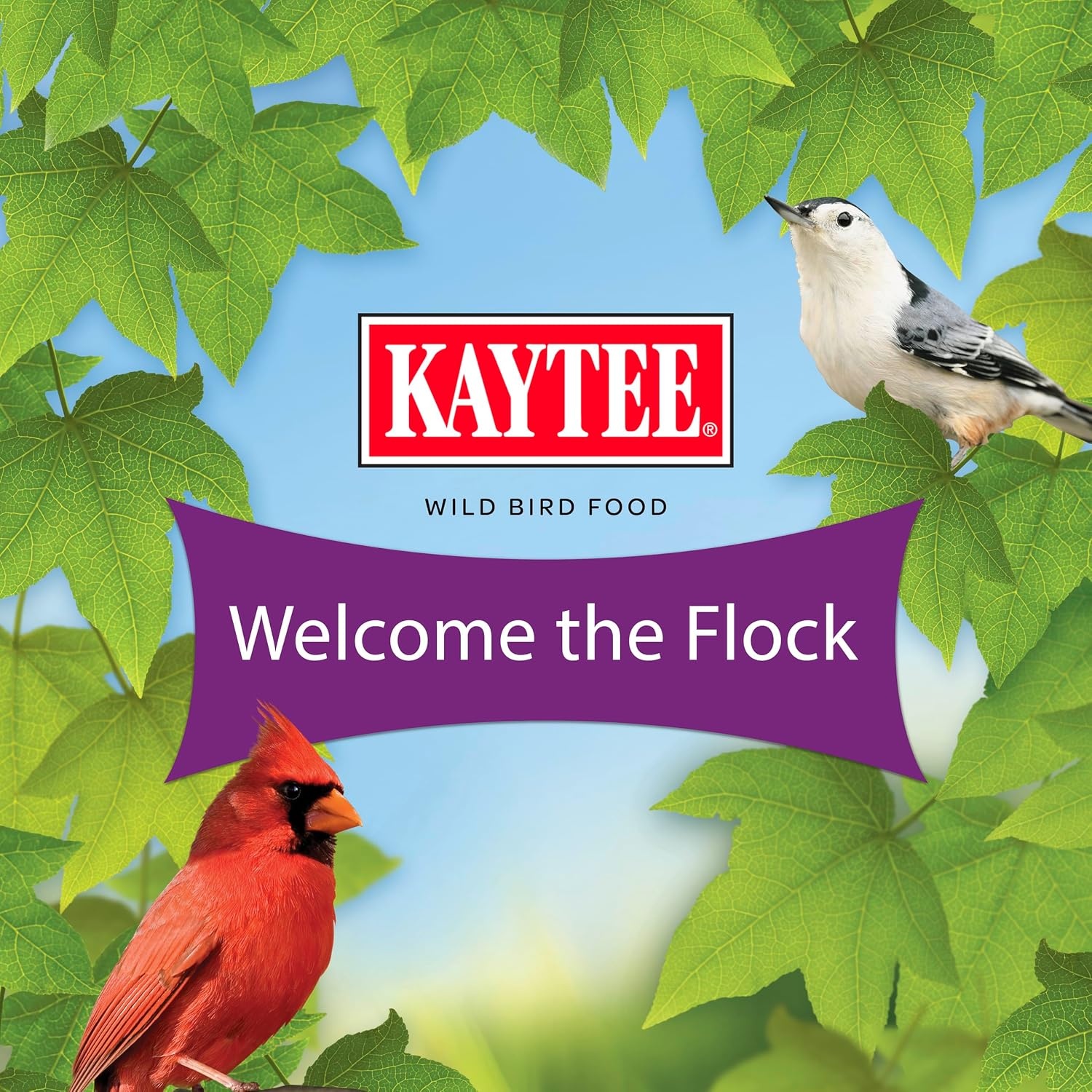 image:imageKaytee Nut amp Fruit Wild Bird Seed 5 lb10 Pound Pack of 1