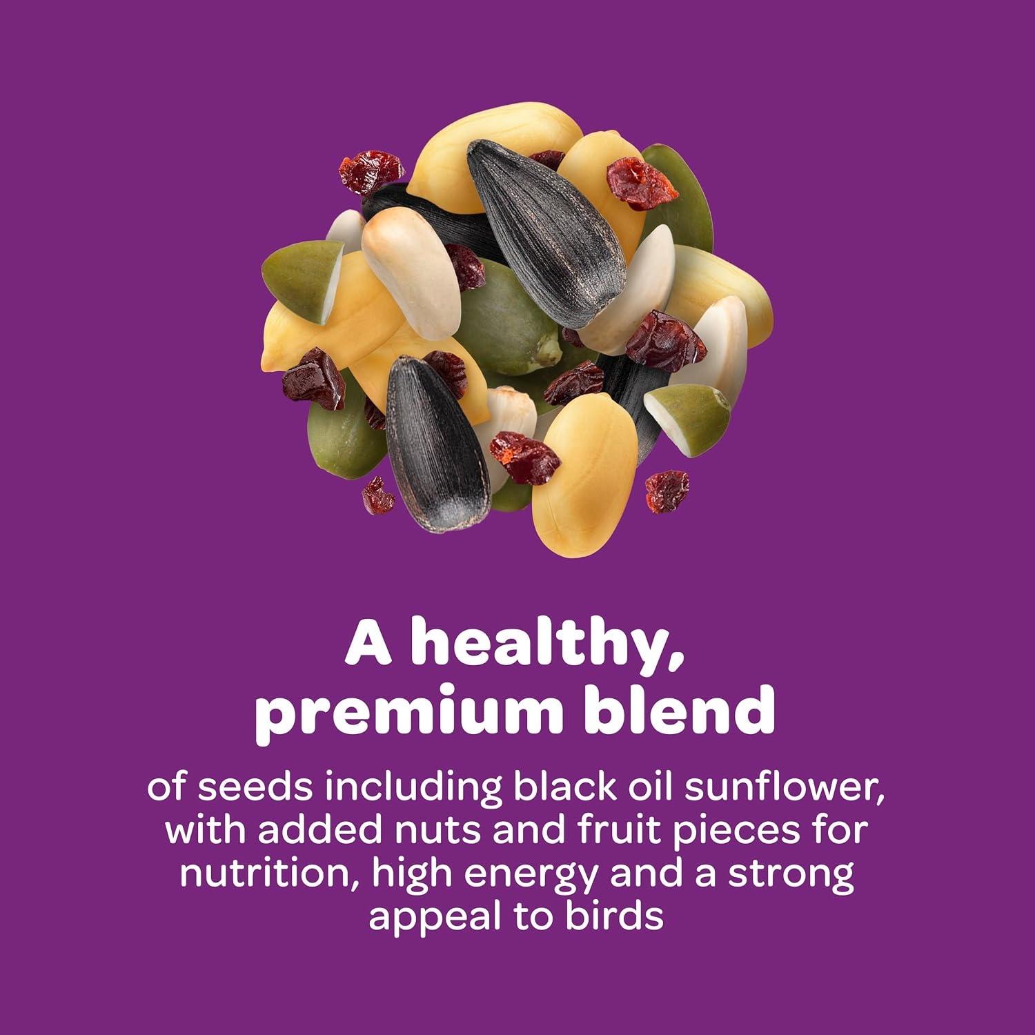 image:imageKaytee Nut amp Fruit Wild Bird Seed 5 lb20 Pound Pack of 1