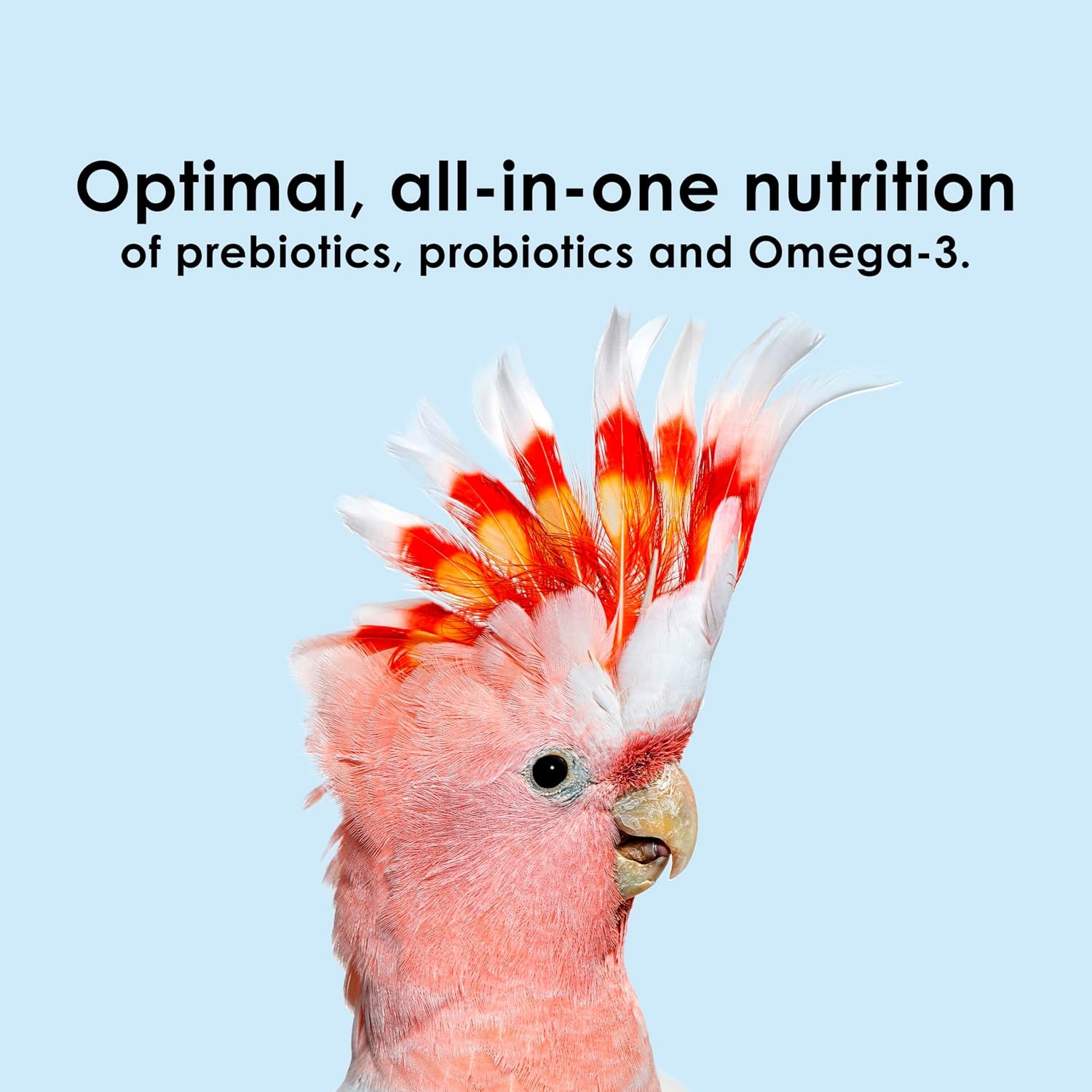 image:imageKaytee NutriSoft Pet Parakeet amp Cockatiel Bird Food 2 lbMacawCockatoo