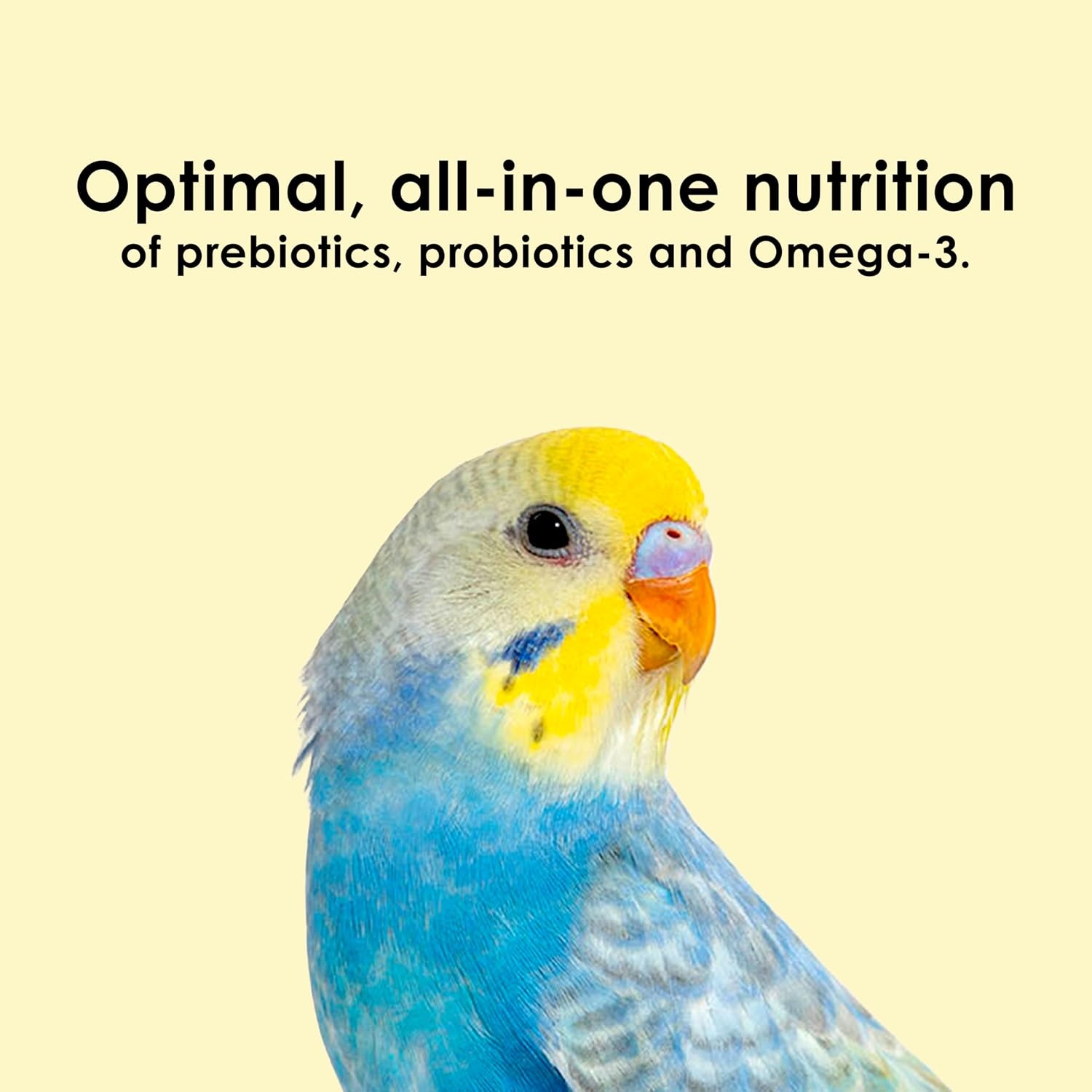 image:imageKaytee NutriSoft Pet Parakeet amp Cockatiel Bird Food 2 lbParakeetCockatiel
