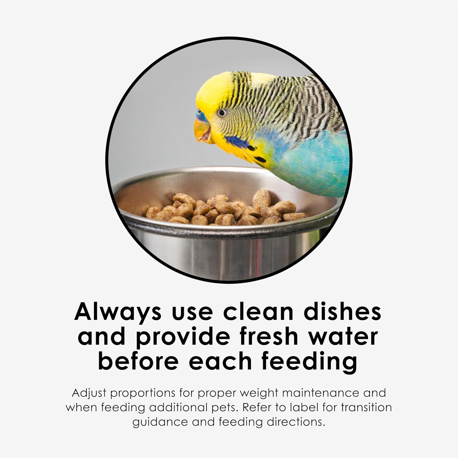 image:imageKaytee NutriSoft Pet Parakeet amp Cockatiel Bird Food 2 lbParakeetCockatiel