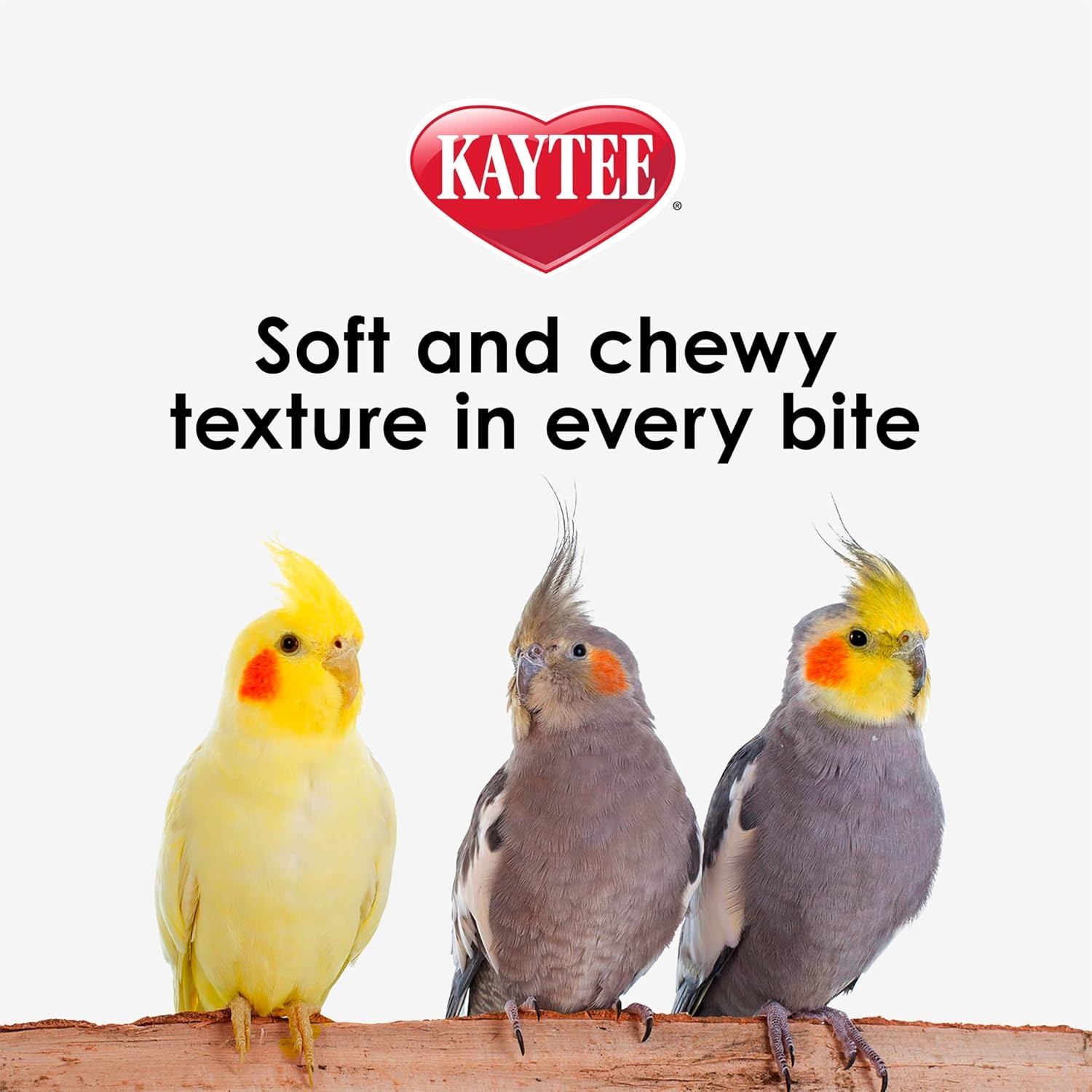 image:imageKaytee NutriSoft Pet Parakeet amp Cockatiel Bird Food 2 lbParakeetCockatiel