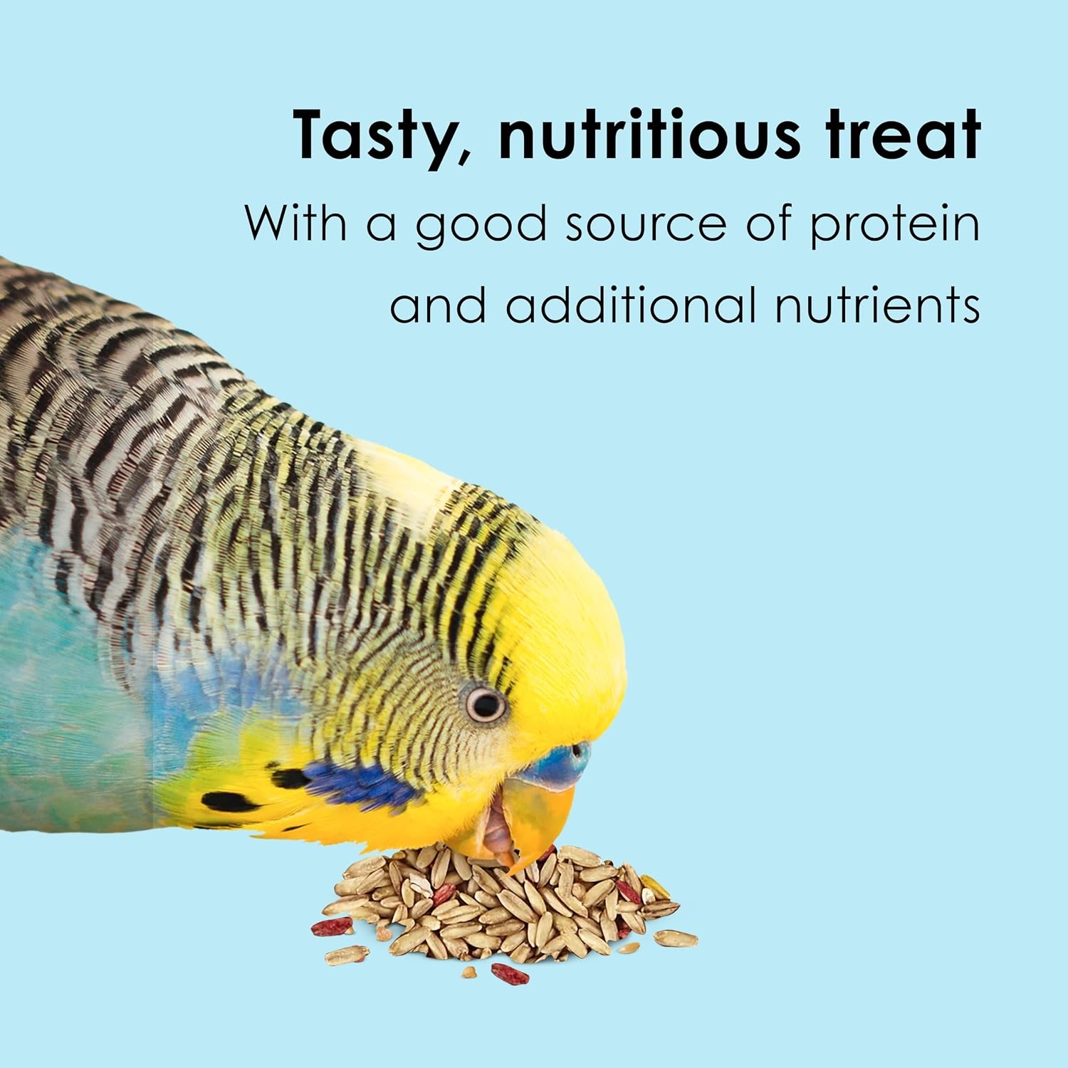 image:imageKaytee Oat Groats Treat Jar for Pet Birds 11 Ounces11 Ounce Pack of 1