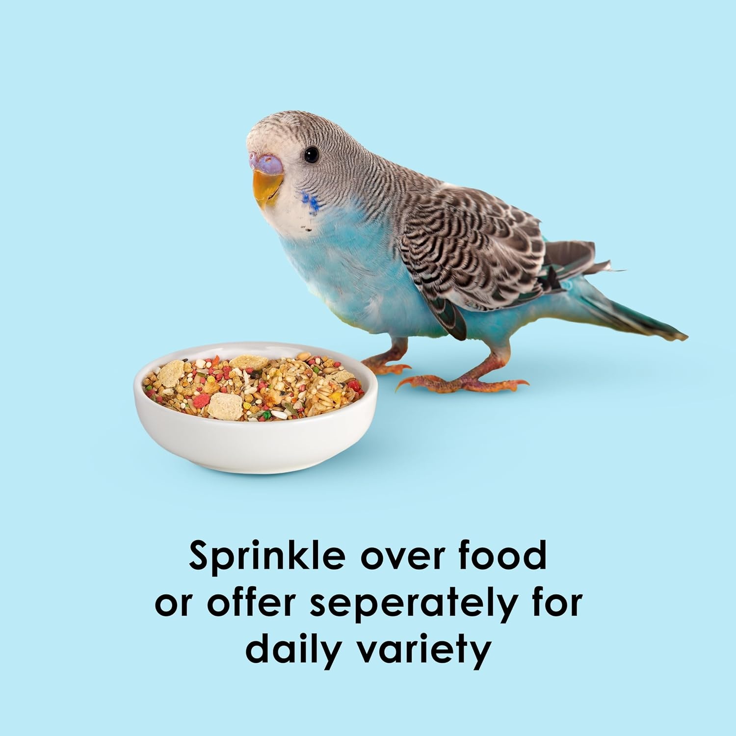 image:imageKaytee Oat Groats Treat Jar for Pet Birds 11 Ounces11 Ounce Pack of 1