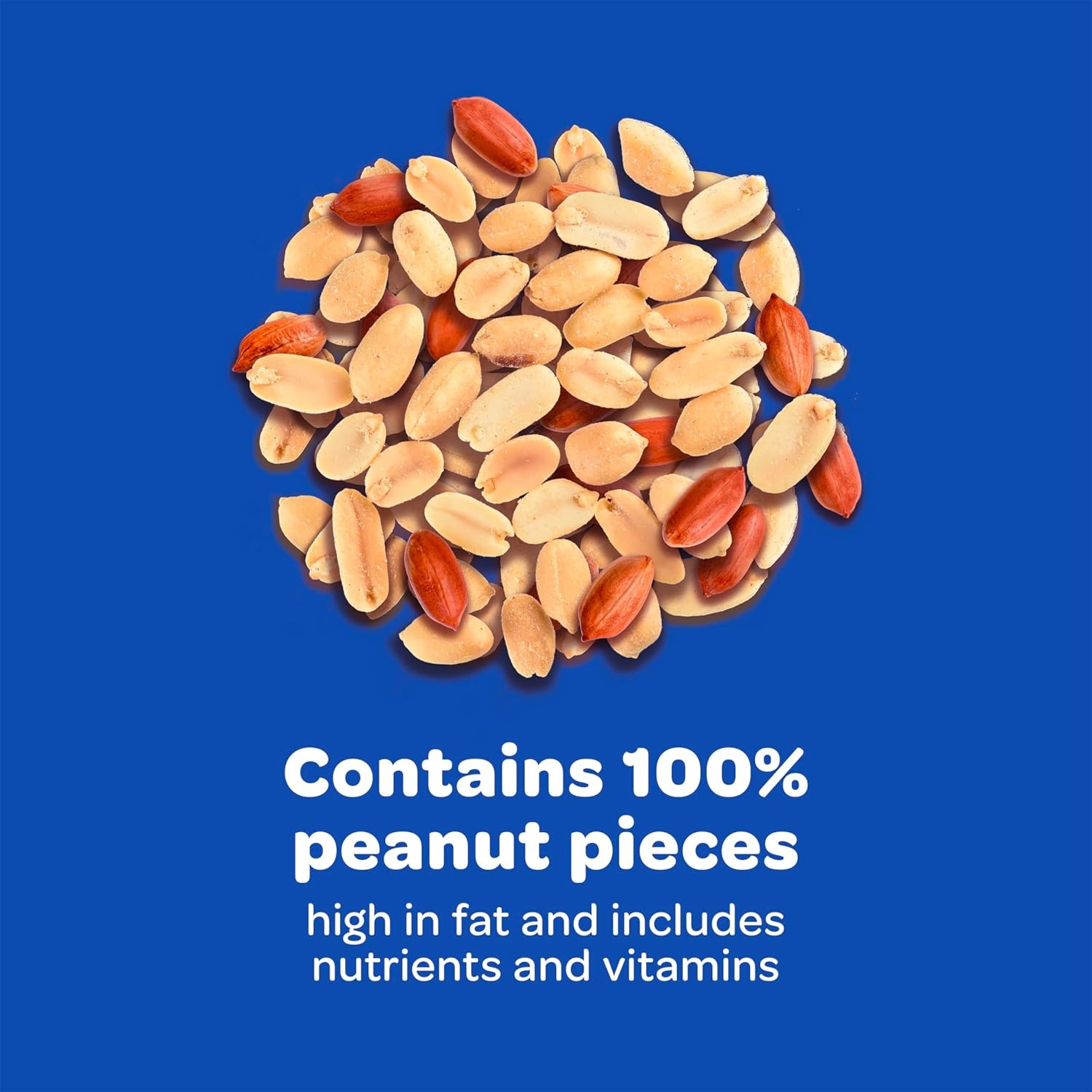 image:imageKaytee Peanuts Wild Bird Food High in Fat and Protein10 Pound Pack of 1