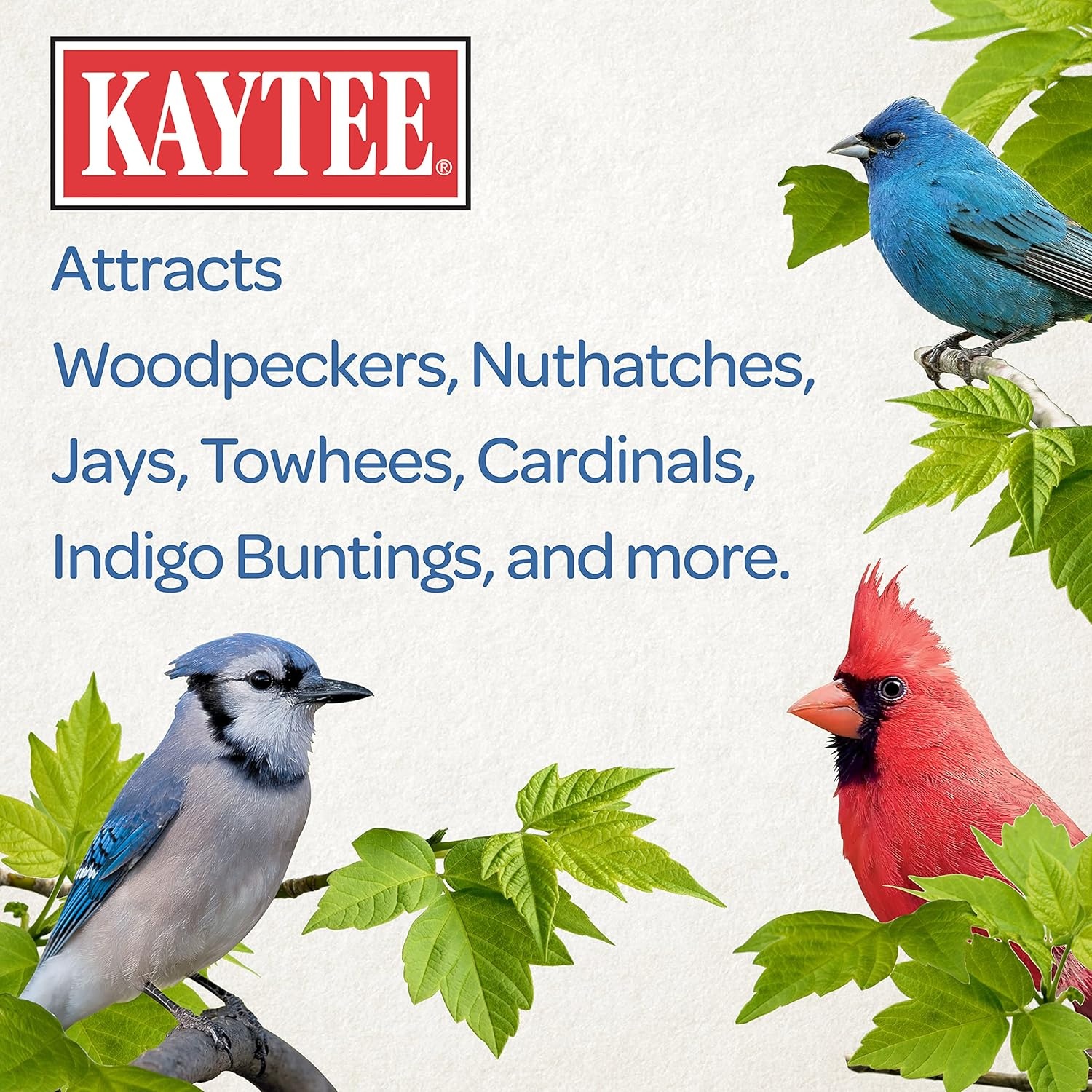 image:imageKaytee Peanuts Wild Bird Food High in Fat and Protein10 Pound Pack of 2