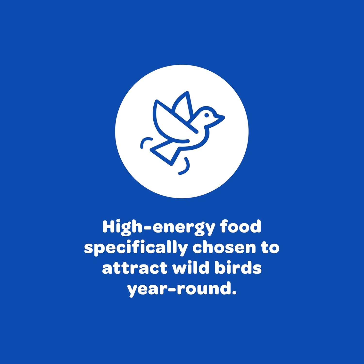 image:imageKaytee Peanuts Wild Bird Food High in Fat and Protein11 Pound Pack of 1