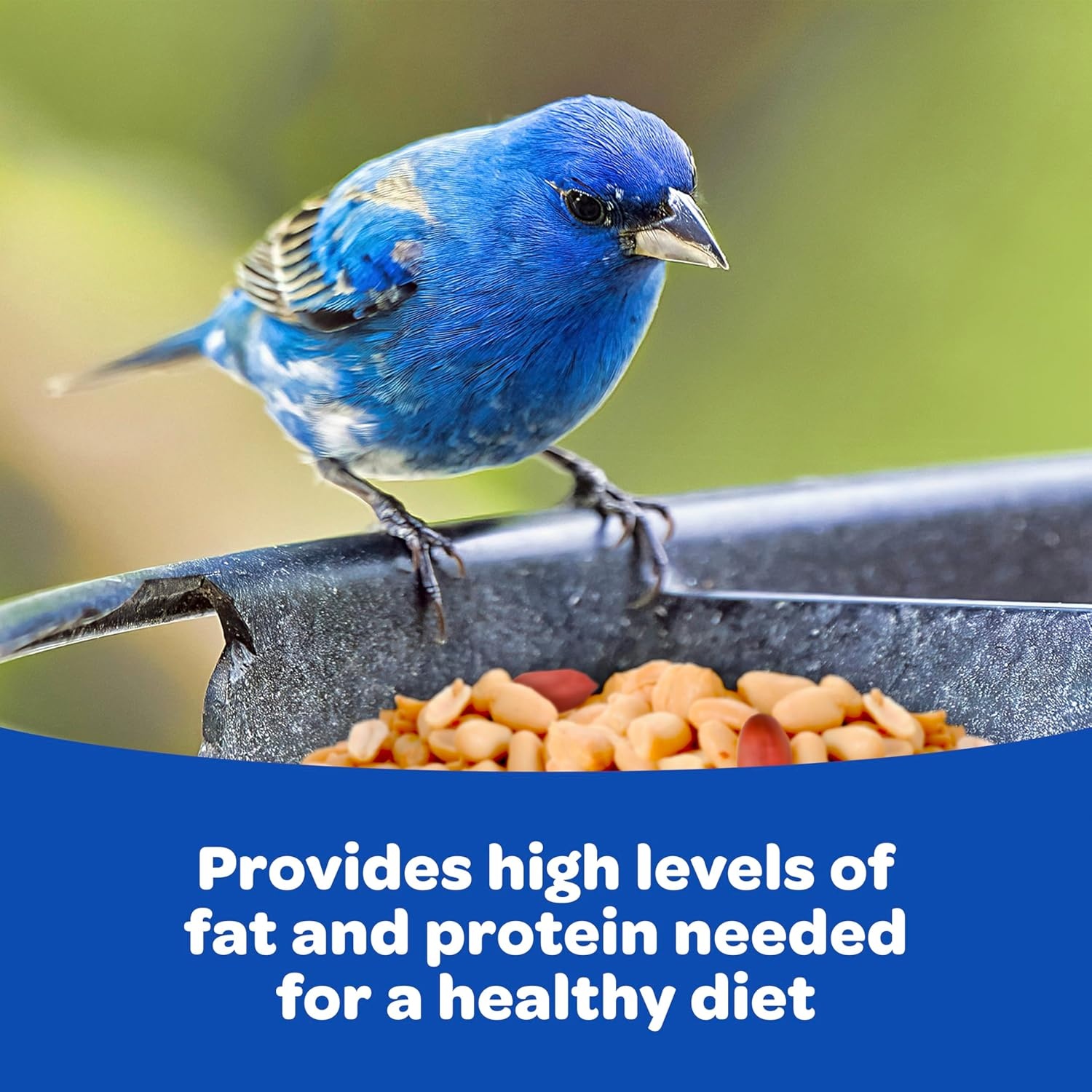 image:imageKaytee Peanuts Wild Bird Food High in Fat and Protein11 Pound Pack of 1
