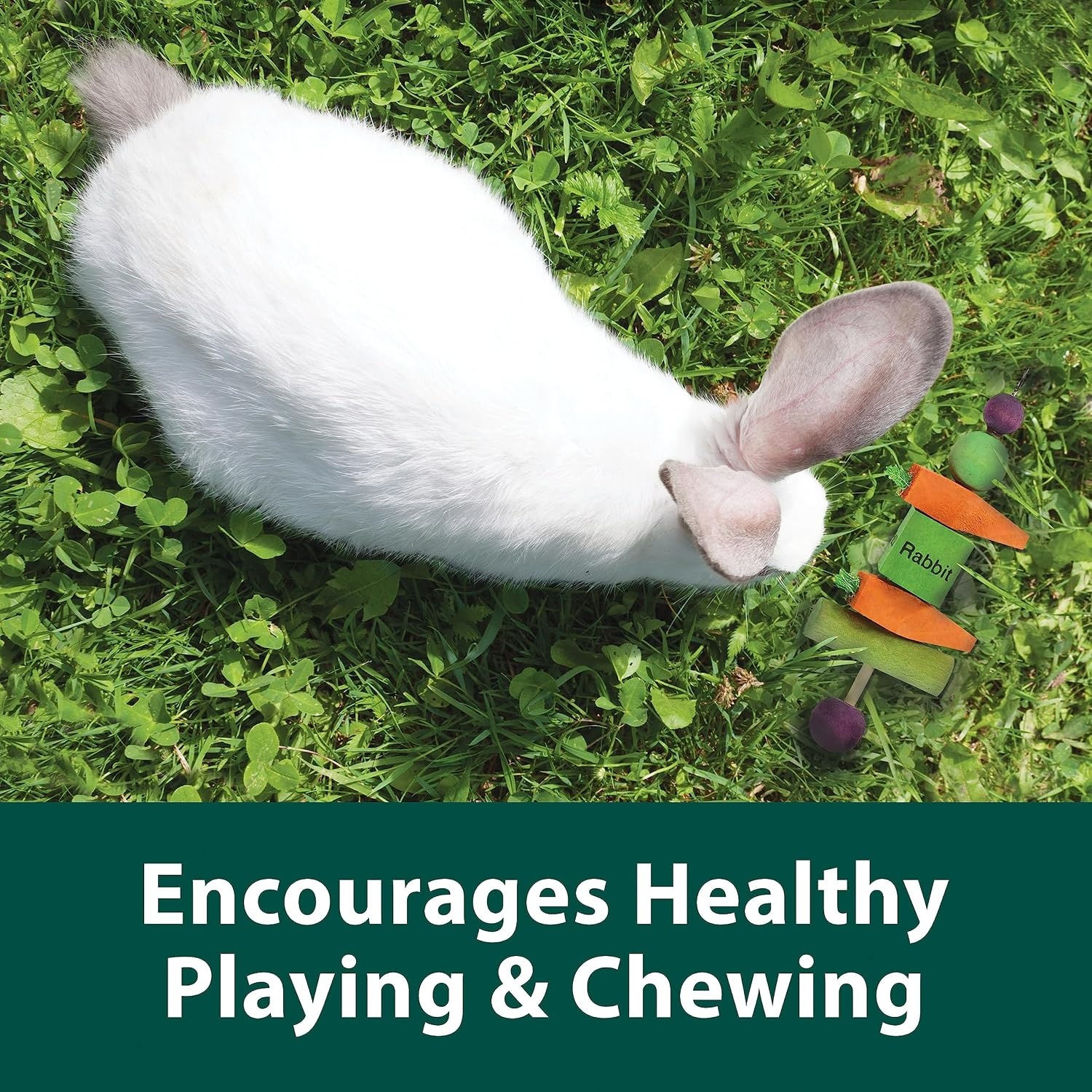 image:imageKaytee Perfect Chews Hanging Wood Chew Toy for Pet Rabbits and Other Small Animals1 Count Pack of 2