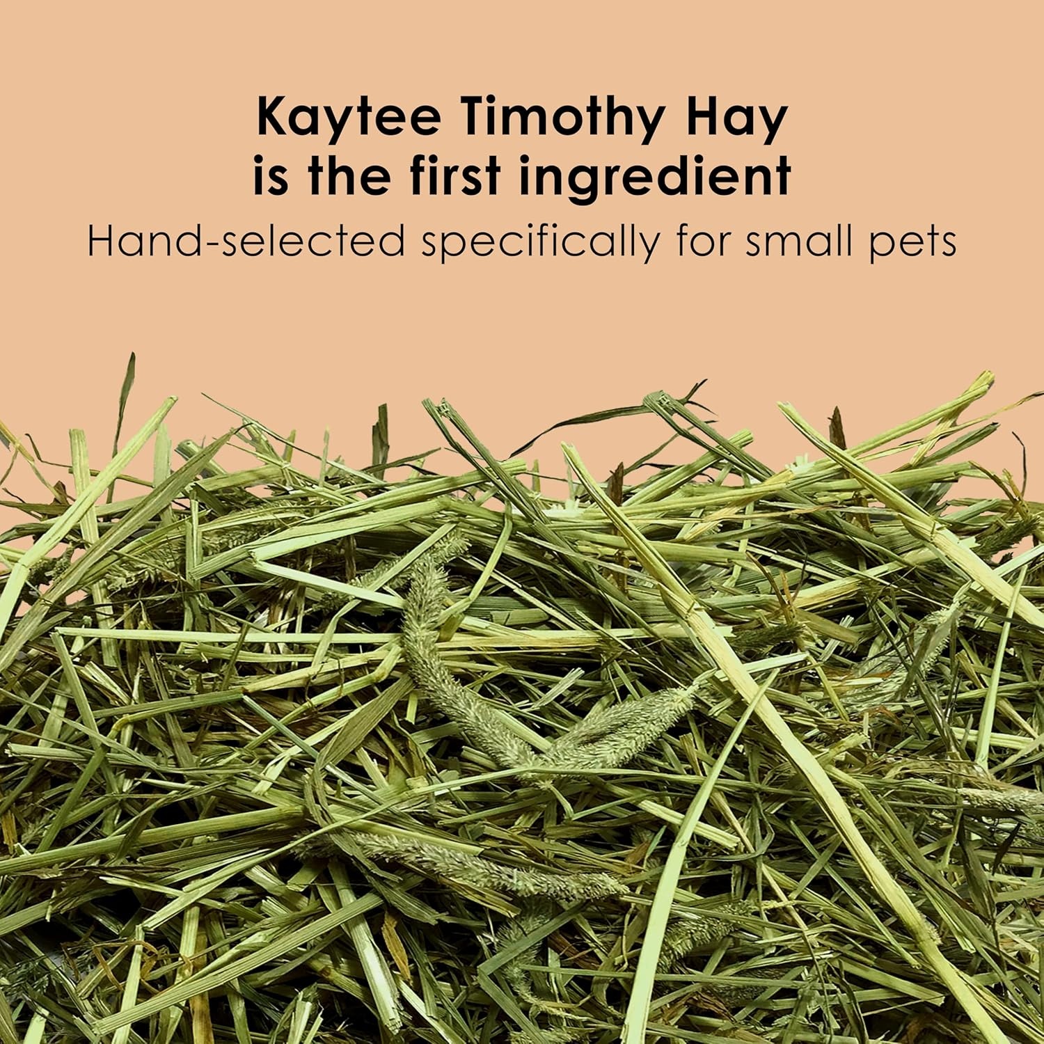 image:imageKaytee Rabbit Food Timothy Complete Rabbit Food Pellets 95 Pounds25 Pound Pack of 1