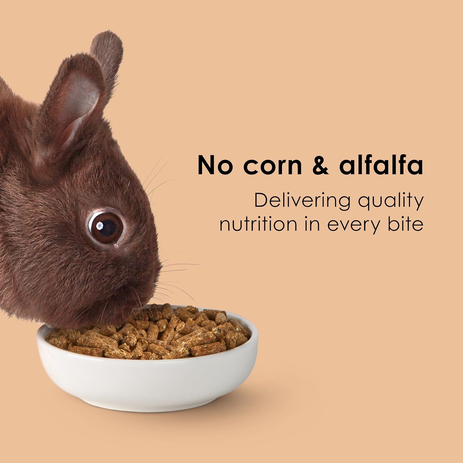 image:imageKaytee Rabbit Food Timothy Complete Rabbit Food Pellets 95 Pounds25 Pound Pack of 1