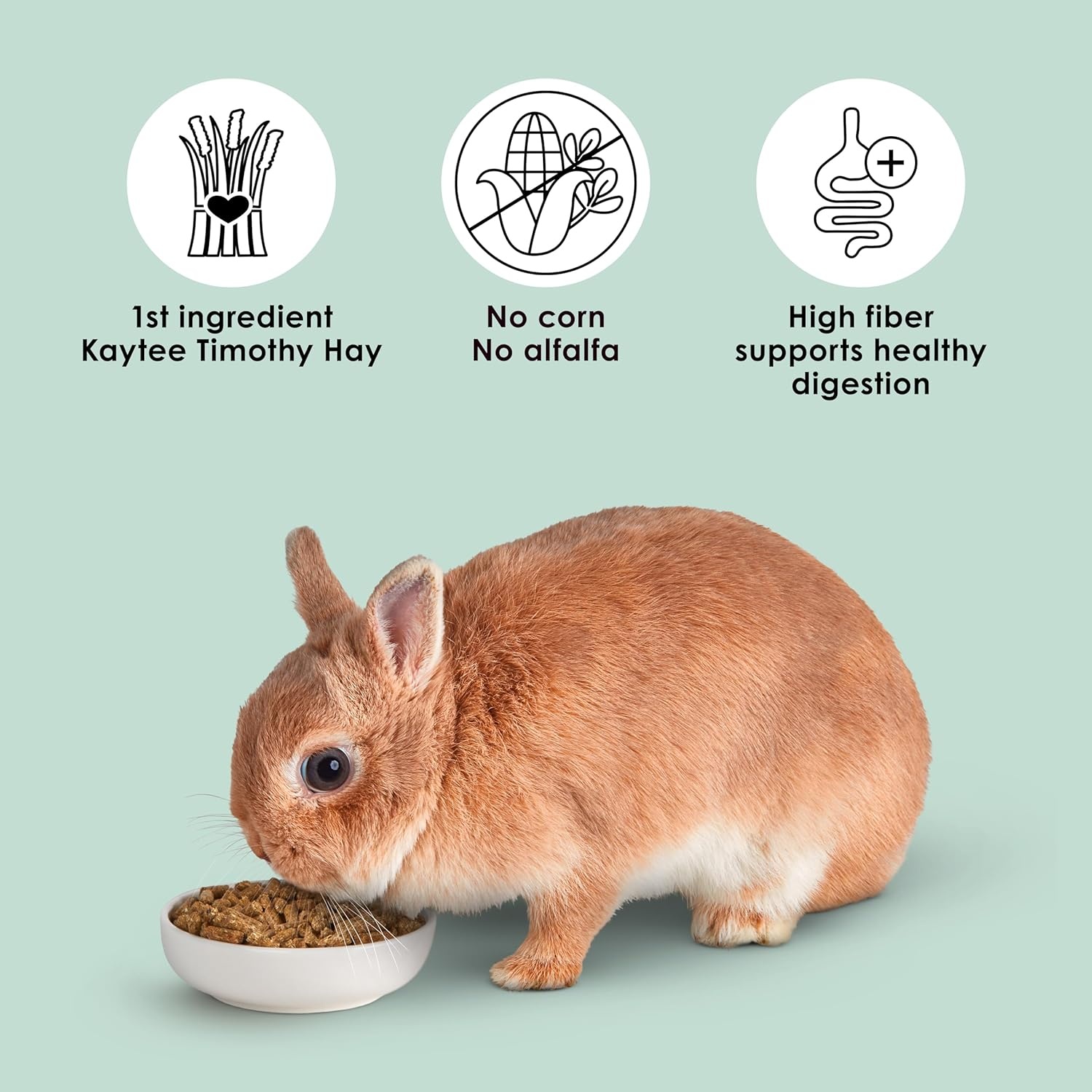 image:imageKaytee Rabbit Food Timothy Complete Rabbit Food Pellets 95 Pounds25 Pound Pack of 1
