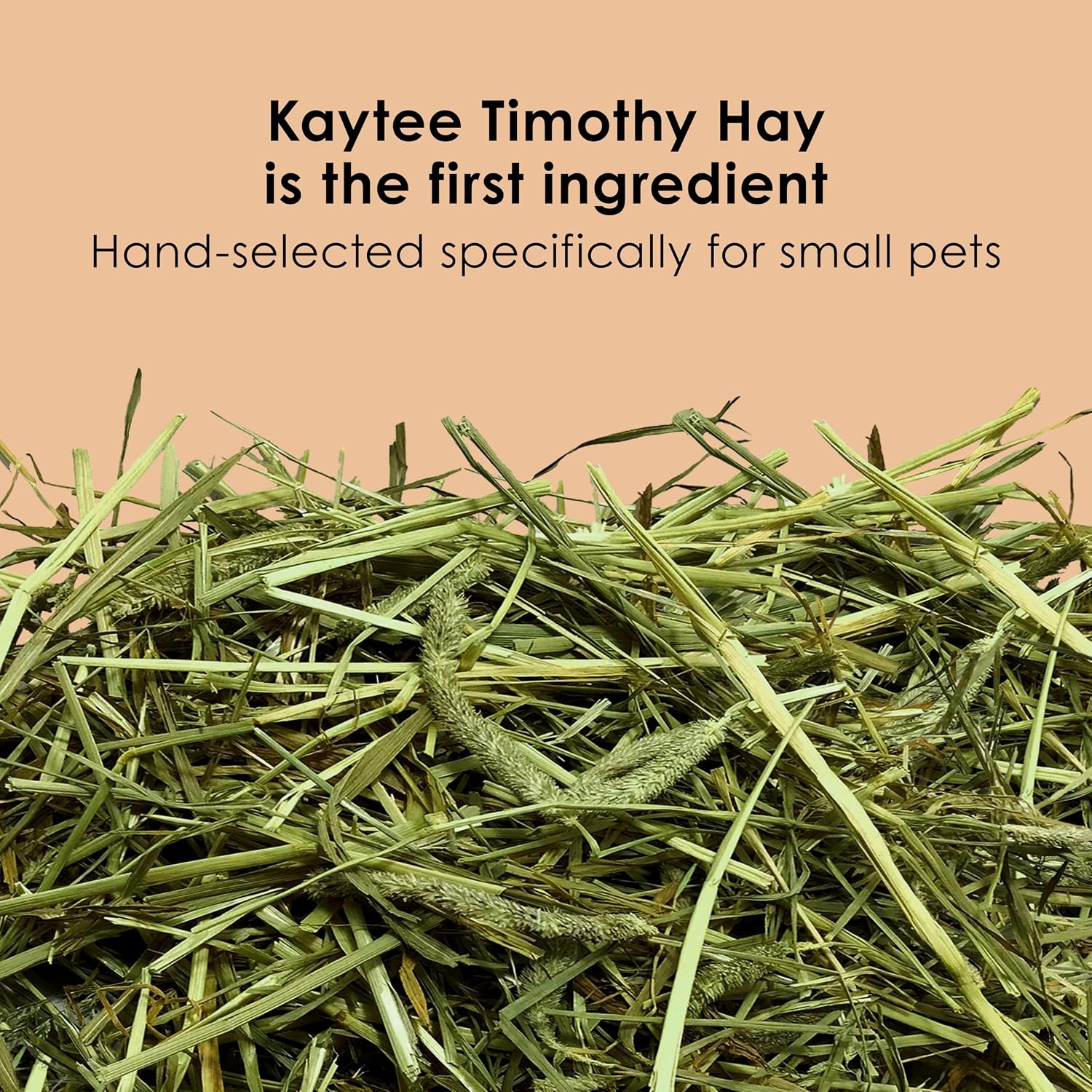 image:imageKaytee Rabbit Food Timothy Complete Rabbit Food Pellets 95 Pounds45 Pound Pack of 1