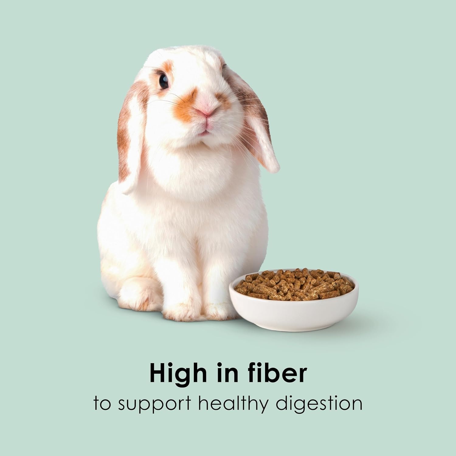 image:imageKaytee Rabbit Food Timothy Complete Rabbit Food Pellets 95 Pounds95 Pound Pack of 1