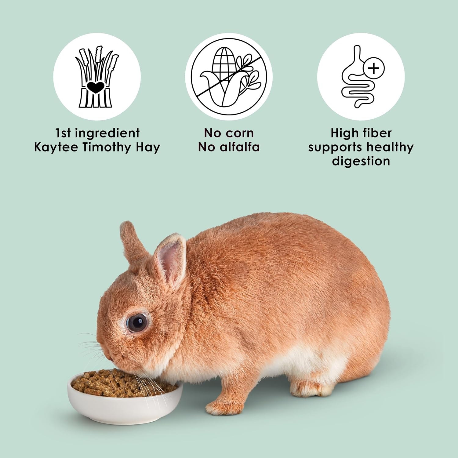image:imageKaytee Rabbit Food Timothy Complete Rabbit Food Pellets 95 Pounds95 Pound Pack of 1