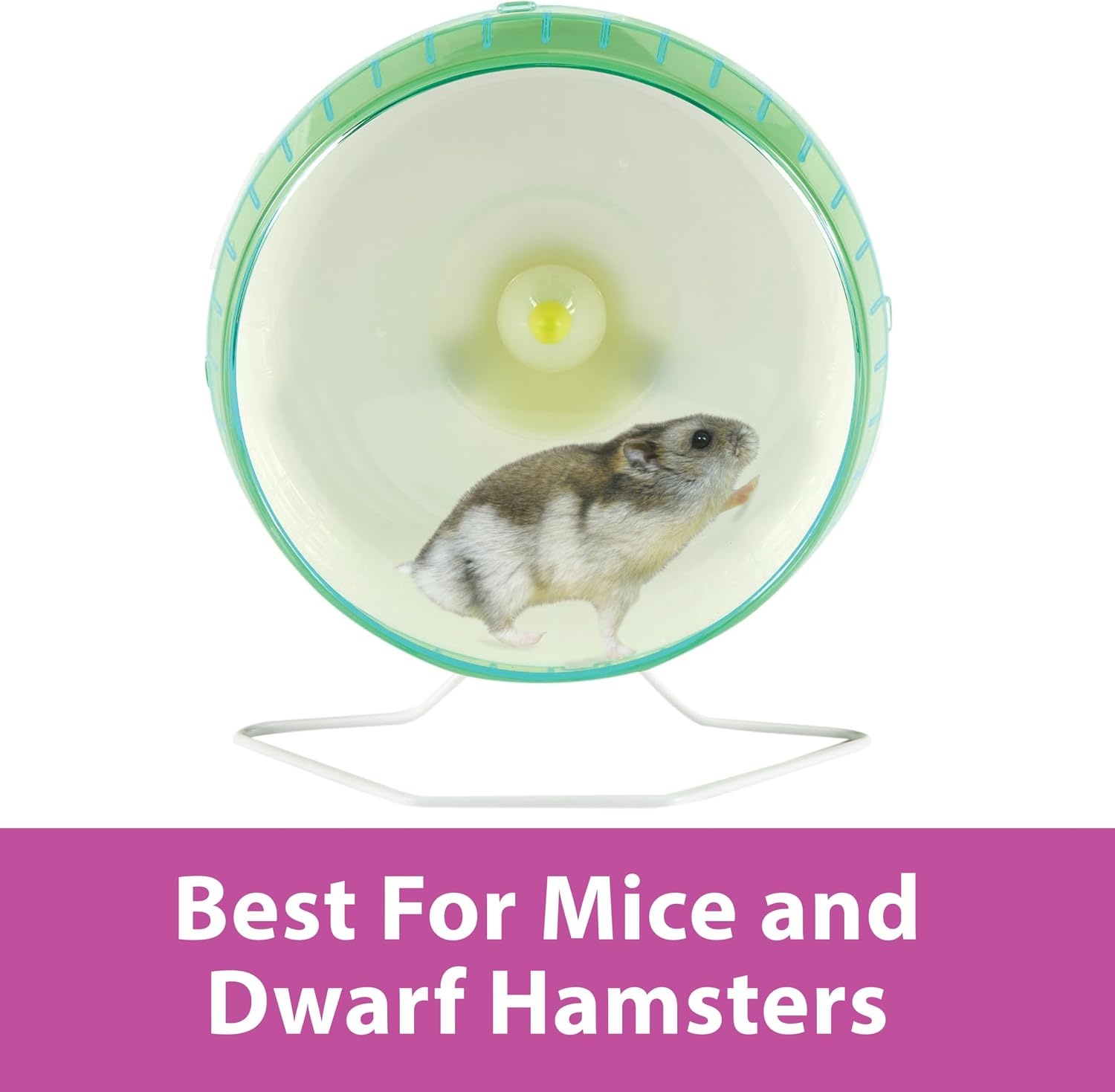 image:imageKaytee Silent Spinner Wheel For Pet Mice and Dwarf Hamsters Mini 45 InchMini 45