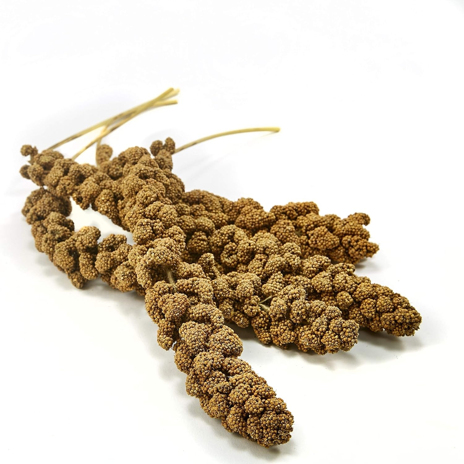 image:imageKaytee Spray Millet Treat for Pet Birds 7 oz125 Count Pack of 1