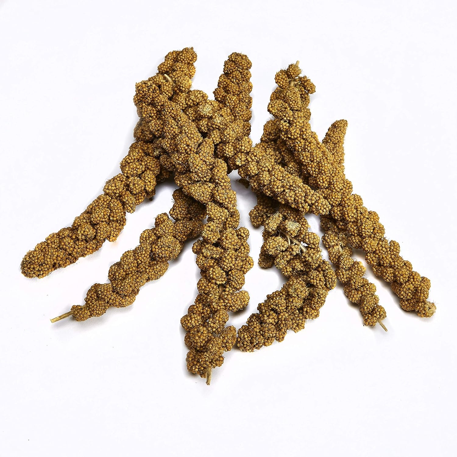 image:imageKaytee Spray Millet Treat for Pet Birds 7 oz7 Ounce Pack of 1