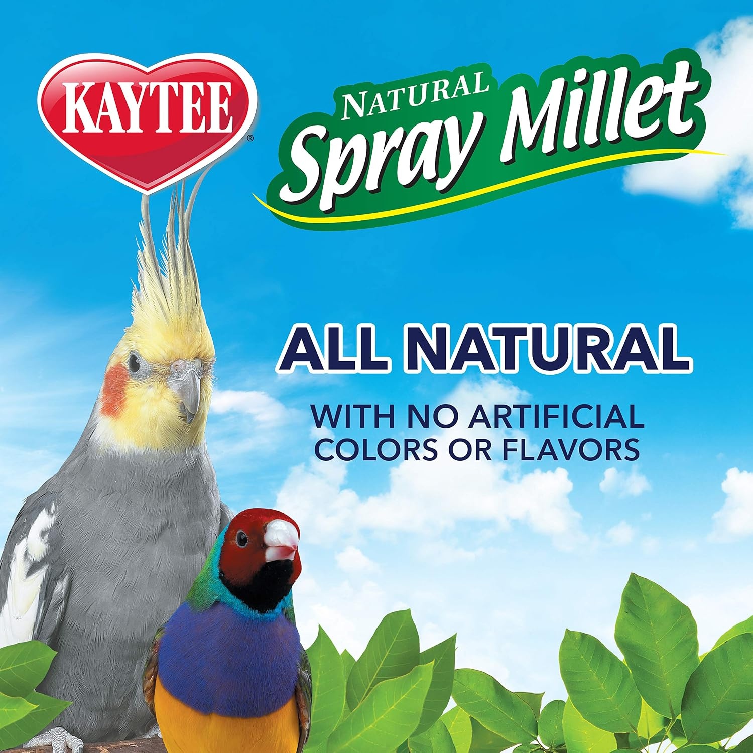image:imageKaytee Spray Millet Treat for Pet Birds 7 oz7 Ounce Pack of 1