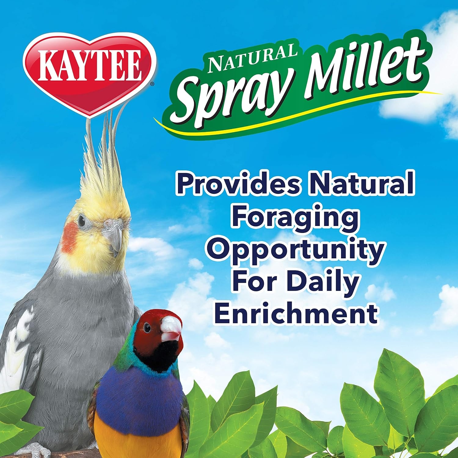 image:imageKaytee Spray Millet Treat for Pet Birds 7 oz7 Ounce Pack of 1