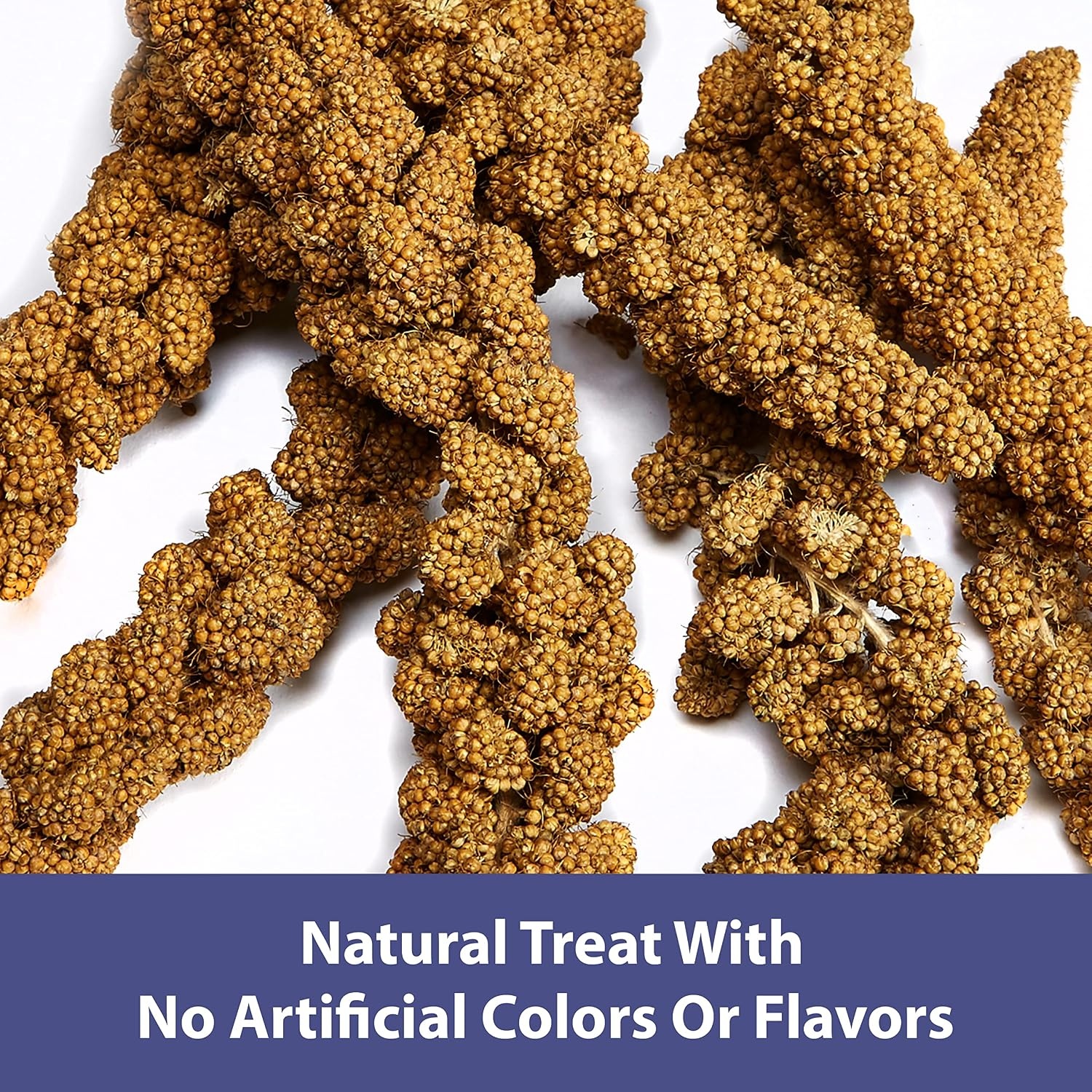 image:imageKaytee Spray Millet Treat for Pet Birds 7 oz7 Ounce Pack of 1