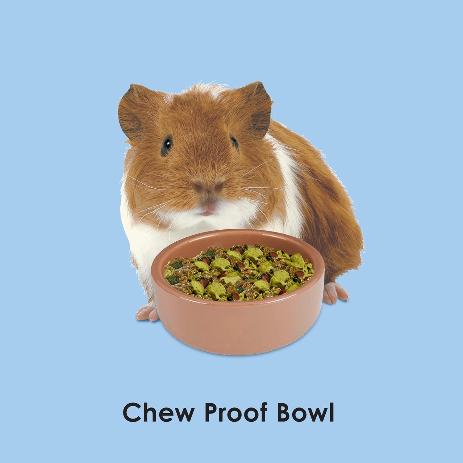 image:imageKaytee Stoneware Ceramic Pet Hamster Bowl Brown 5Inch3 in