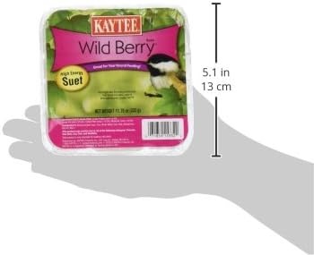 image:imageKaytee Suet amp Seed High Energy Mini Suet 1175 Ounces1175 Ounce Pack of 4