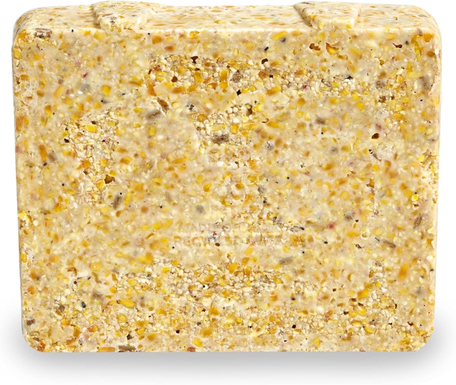 image:imageKaytee Suet amp Seed High Energy Mini Suet 1175 Ounces1175 Ounce Pack of 4