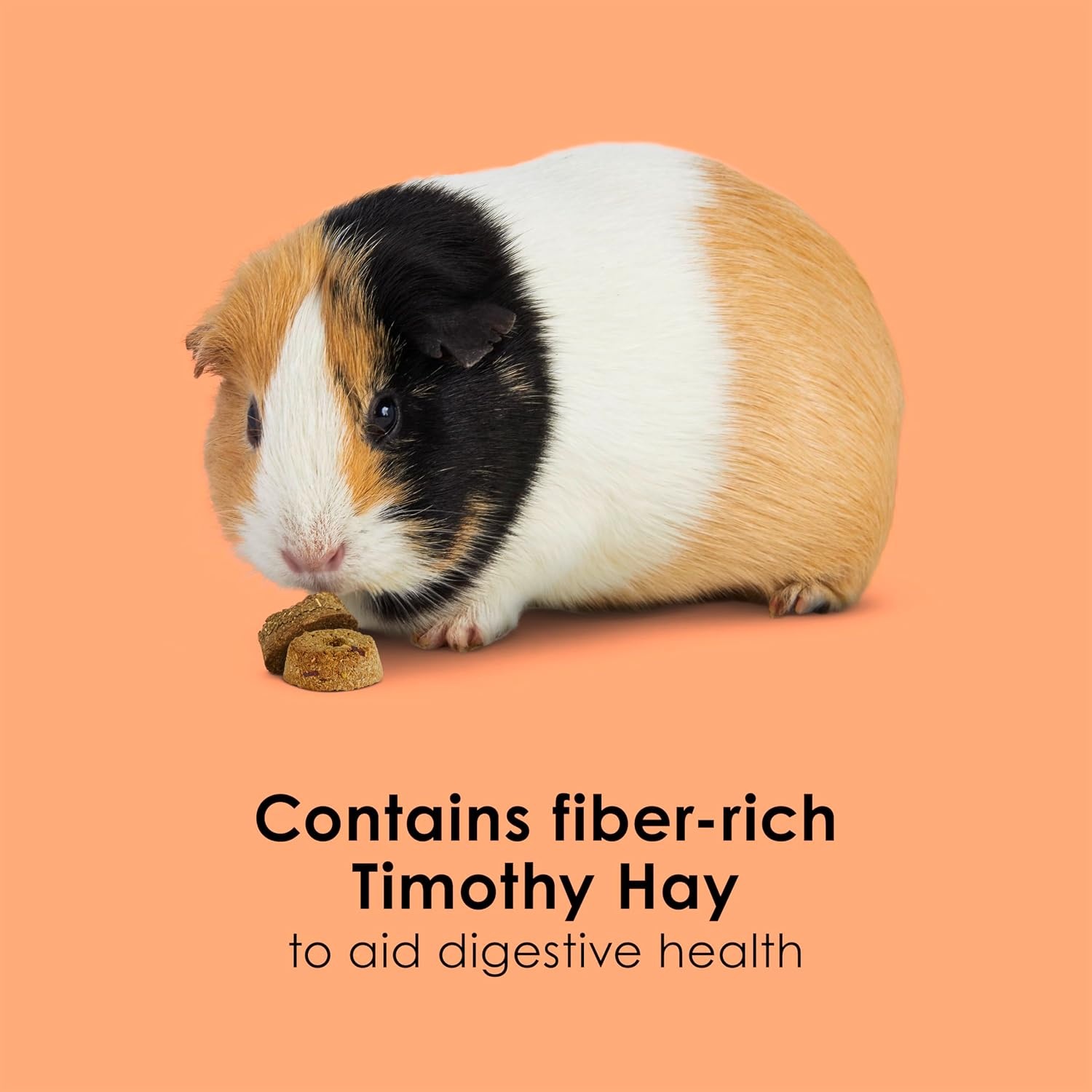 image:imageKaytee Super C Bites Guinea Pig Treats Cranberry 15 PoundCranberry and Orange