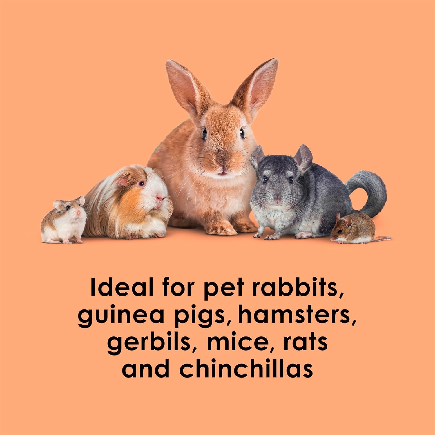 image:imageKaytee Super C Bites Guinea Pig Treats Cranberry 15 PoundCranberry and Orange