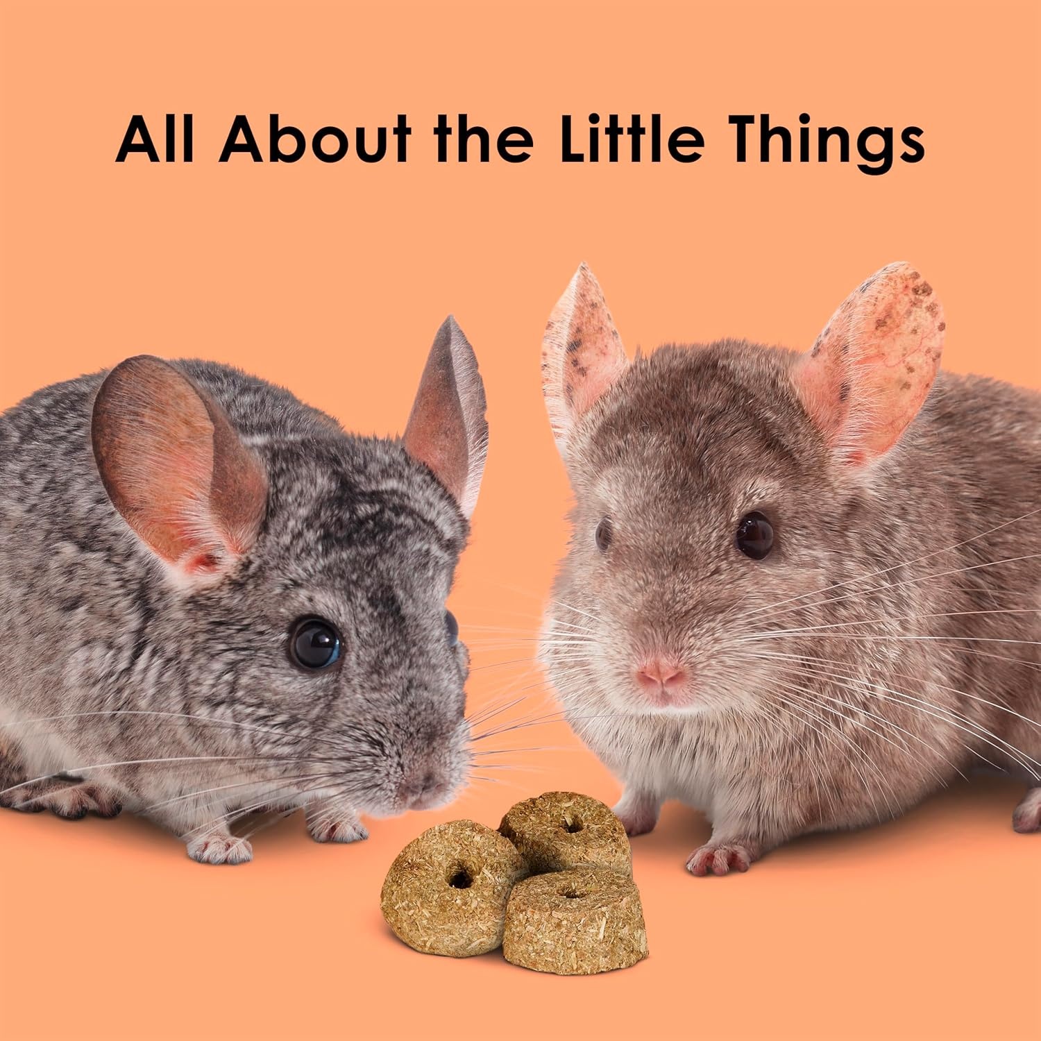 image:imageKaytee Super C Bites Guinea Pig Treats Cranberry 15 PoundCranberry and Orange