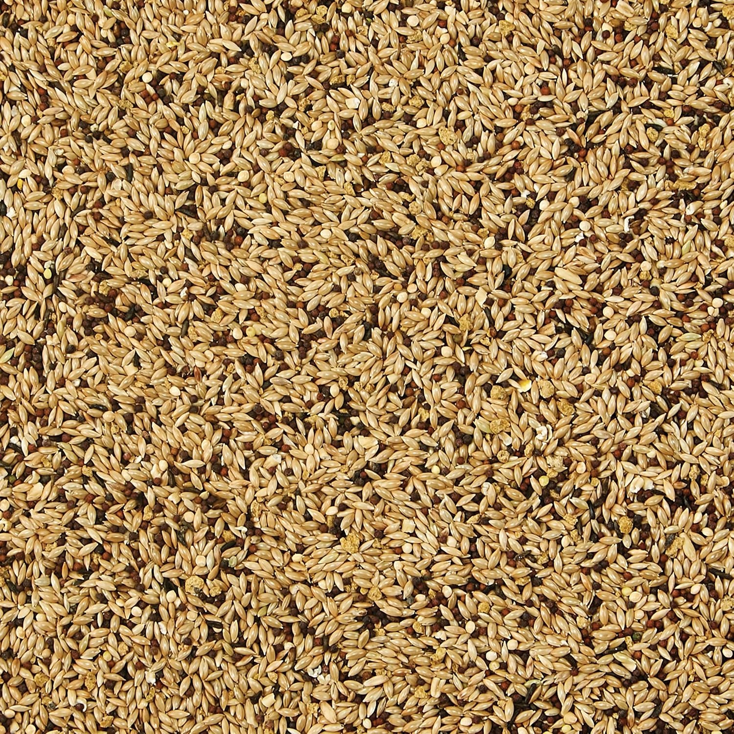 image:imageKaytee Supreme Pet Canary amp Finch Food Natural Seed amp Grain Blend with Added Vitamins amp Minerals No Artificial Colors or Flavors 20 Pounds2 Pound Pack of 1