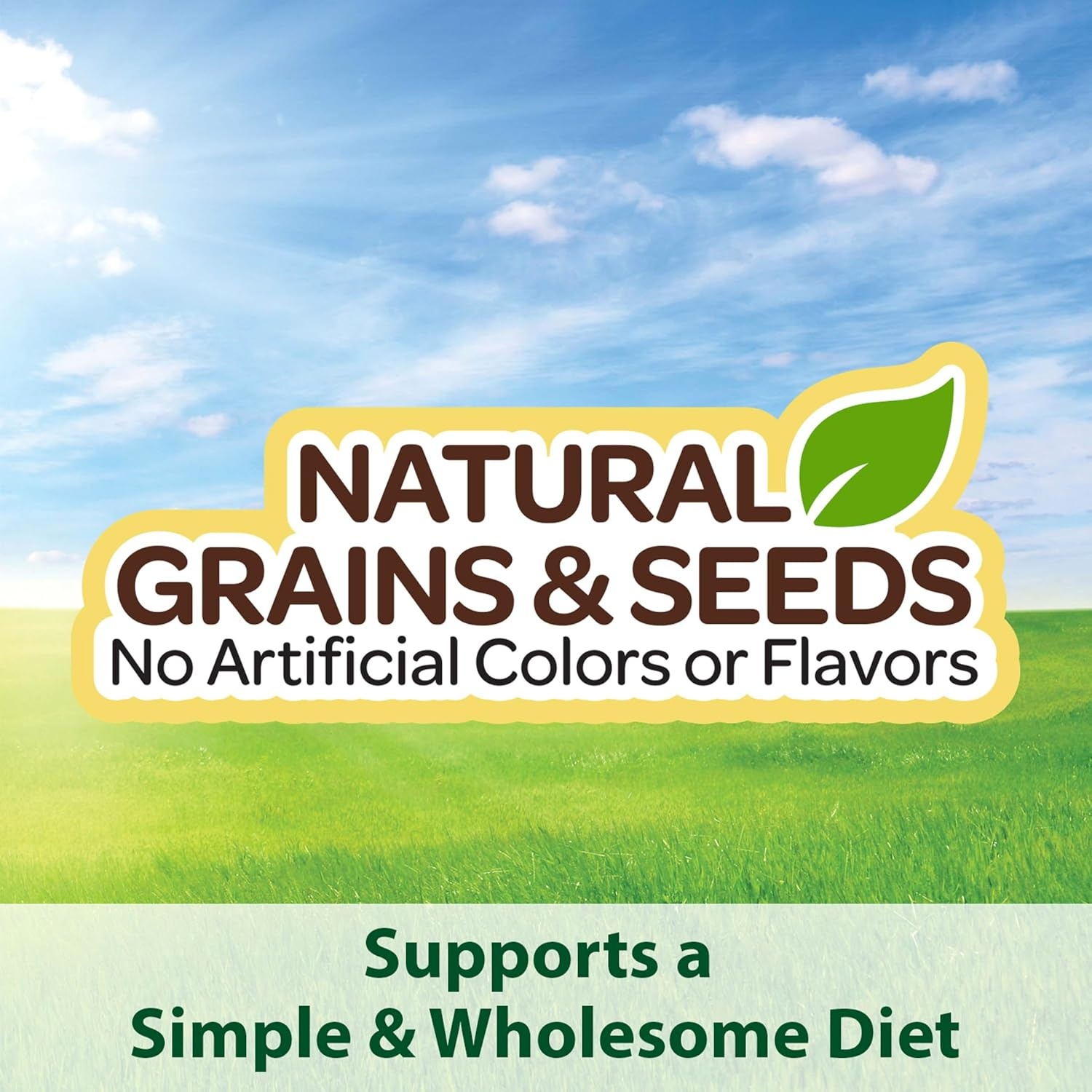 image:imageKaytee Supreme Pet Canary amp Finch Food Natural Seed amp Grain Blend with Added Vitamins amp Minerals No Artificial Colors or Flavors 20 Pounds20 Pound Pack of 1