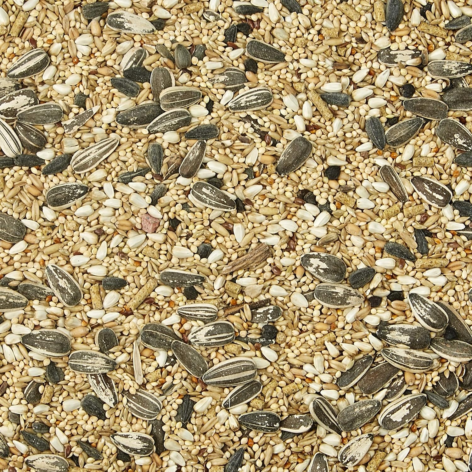 image:imageKaytee Supreme Pet Cockatiel Food 5 Pounds5 Pound Pack of 2