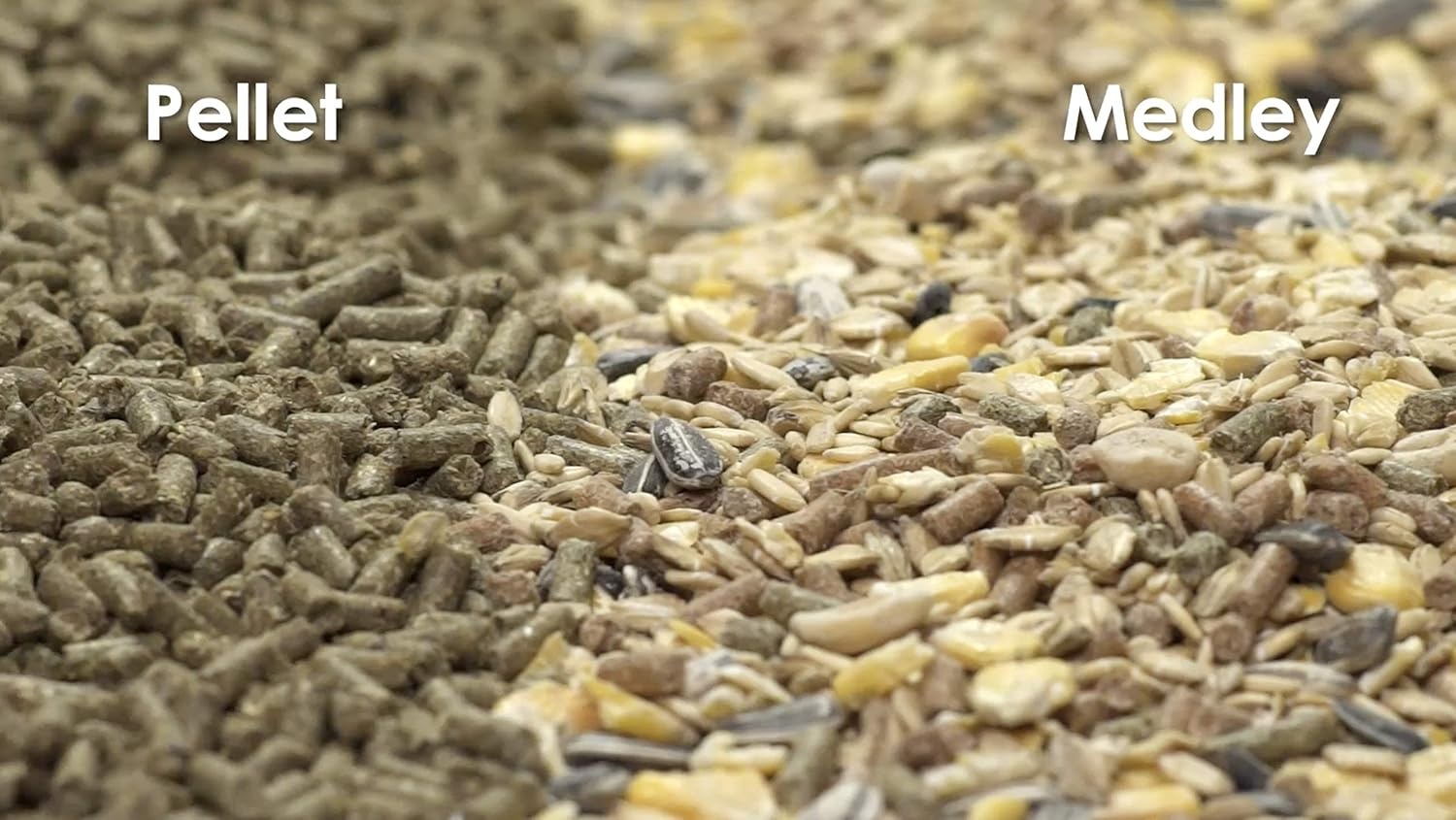 image:imageKaytee Supreme Pet Mouse and Rat Food 4 lb4 Pound Pack of 1