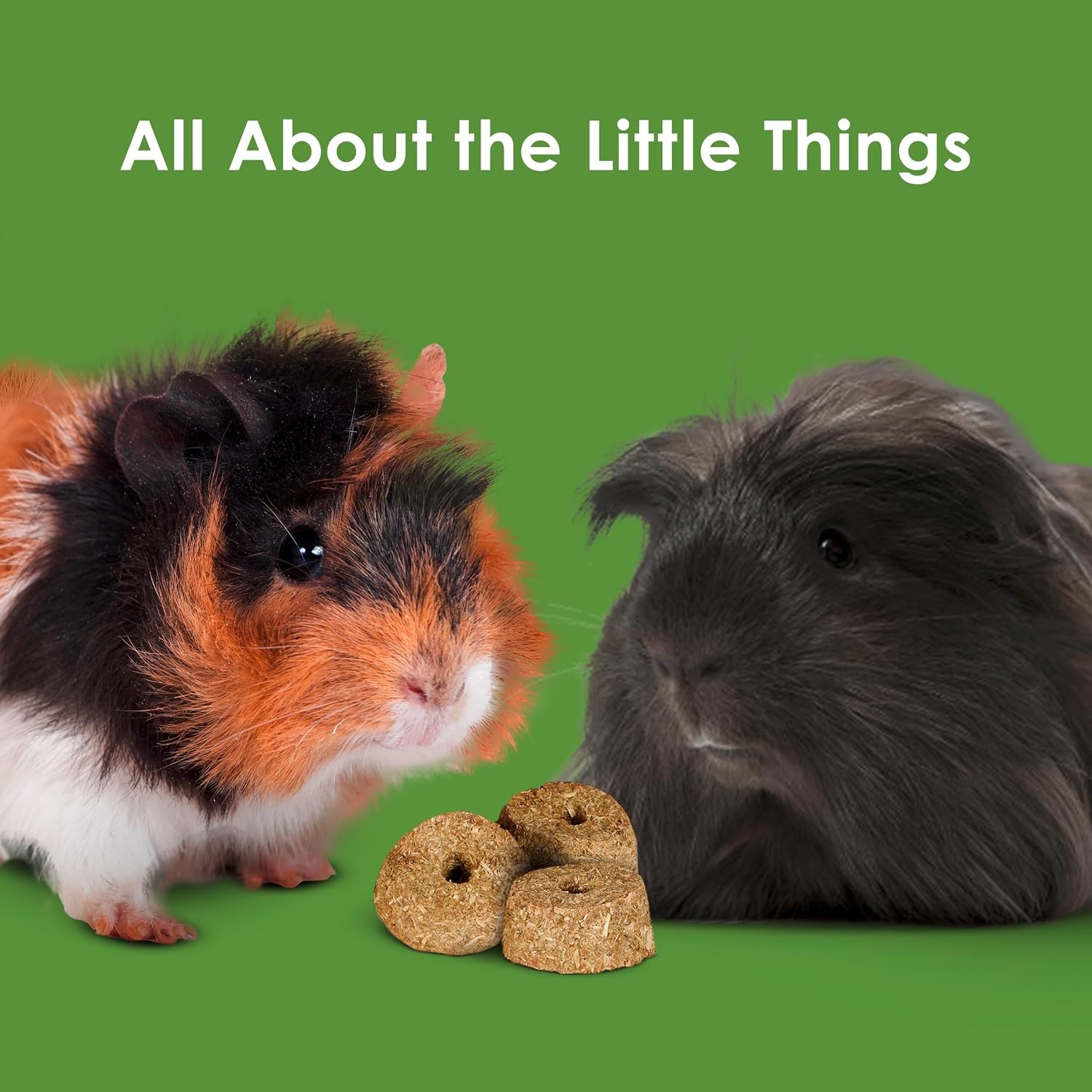 image:imageKaytee Timothy Biscuits Timothy Hay Bunny Treats for Rabbits 4 OzApple