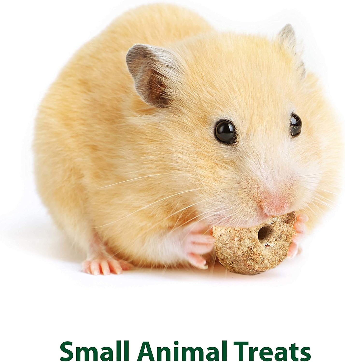 image:imageKaytee Timothy Biscuits Timothy Hay Bunny Treats for Rabbits 4 OzApple