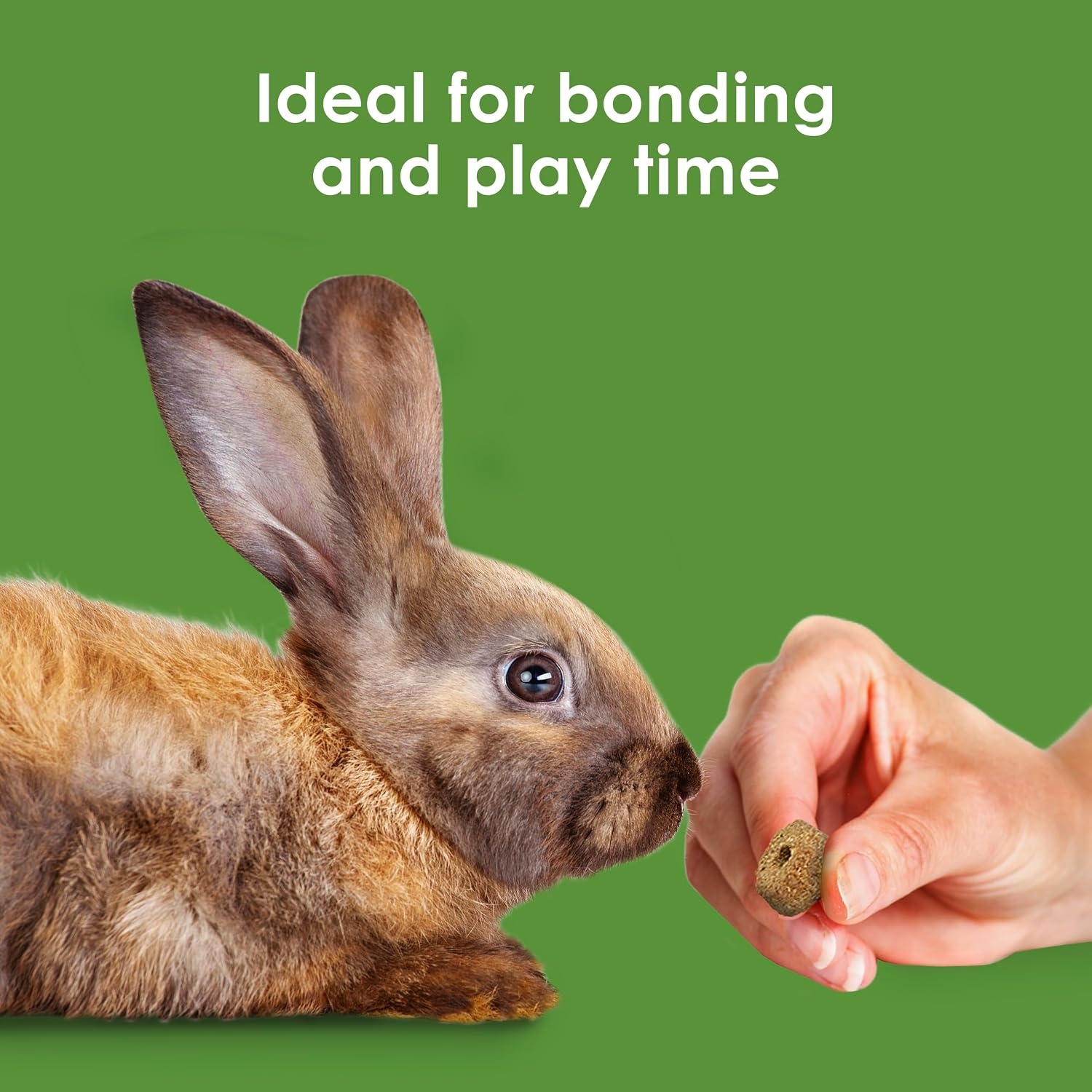 image:imageKaytee Timothy Biscuits Timothy Hay Bunny Treats for Rabbits 4 OzApple