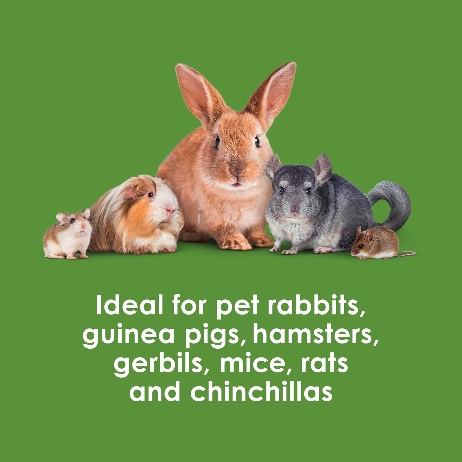 image:imageKaytee Timothy Biscuits Timothy Hay Bunny Treats for Rabbits 4 OzApple