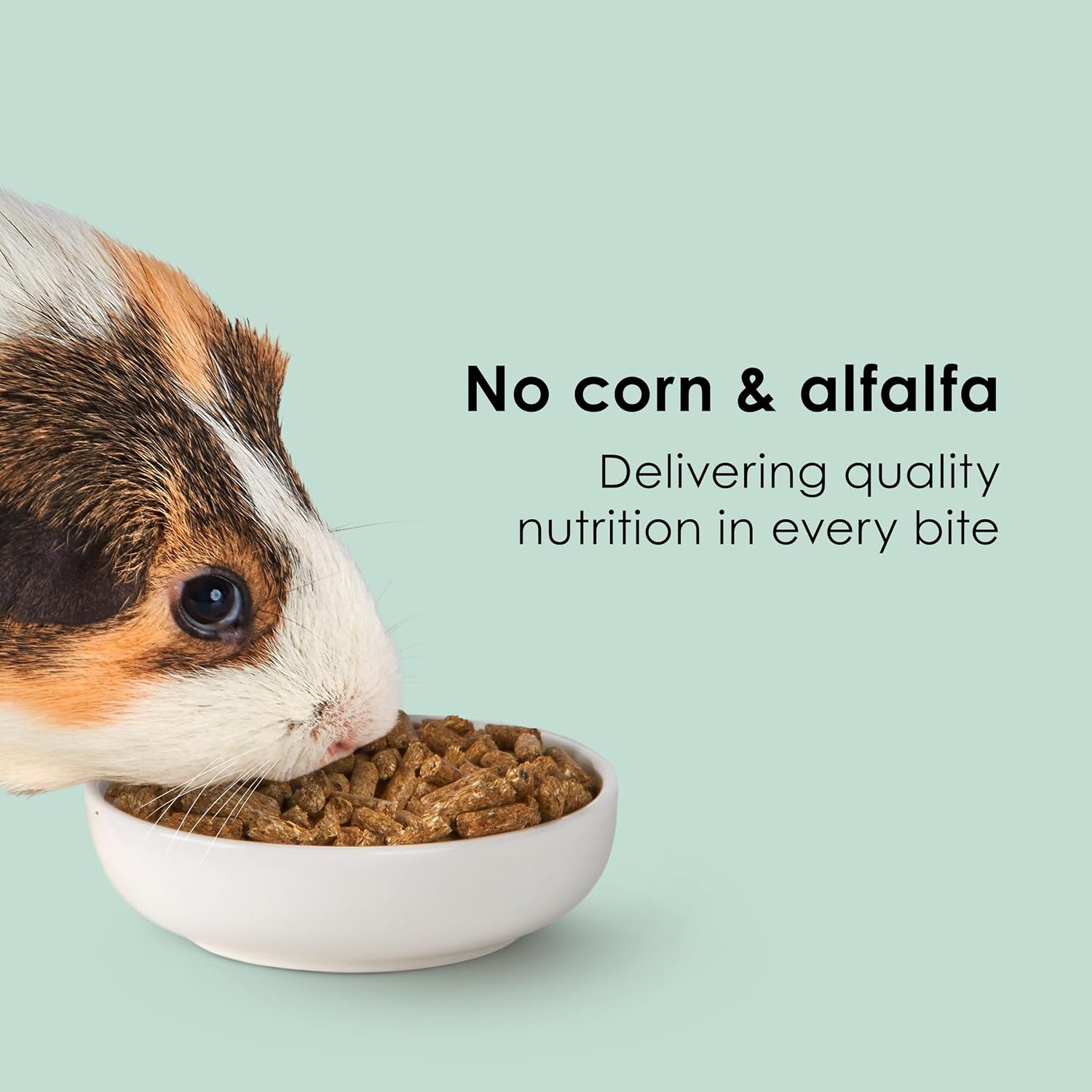image:imageKaytee Timothy Complete Guinea Pig Food with Timothy Hay 25 Pounds25 Pound Pack of 1