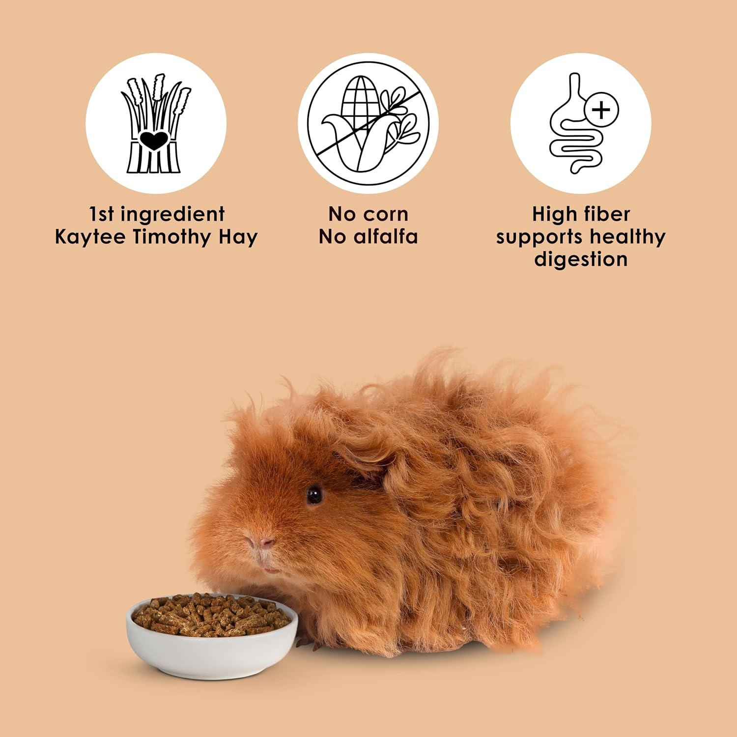 image:imageKaytee Timothy Complete Guinea Pig Food with Timothy Hay 25 Pounds5 Pound Pack of 1