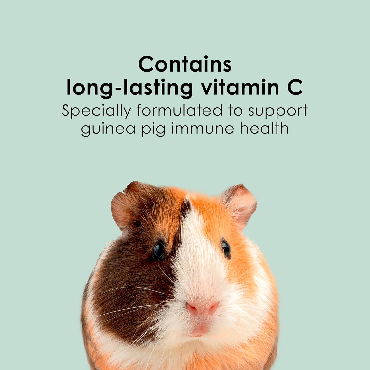 image:imageKaytee Timothy Complete Guinea Pig Food with Timothy Hay 25 Pounds5 Pound Pack of 1