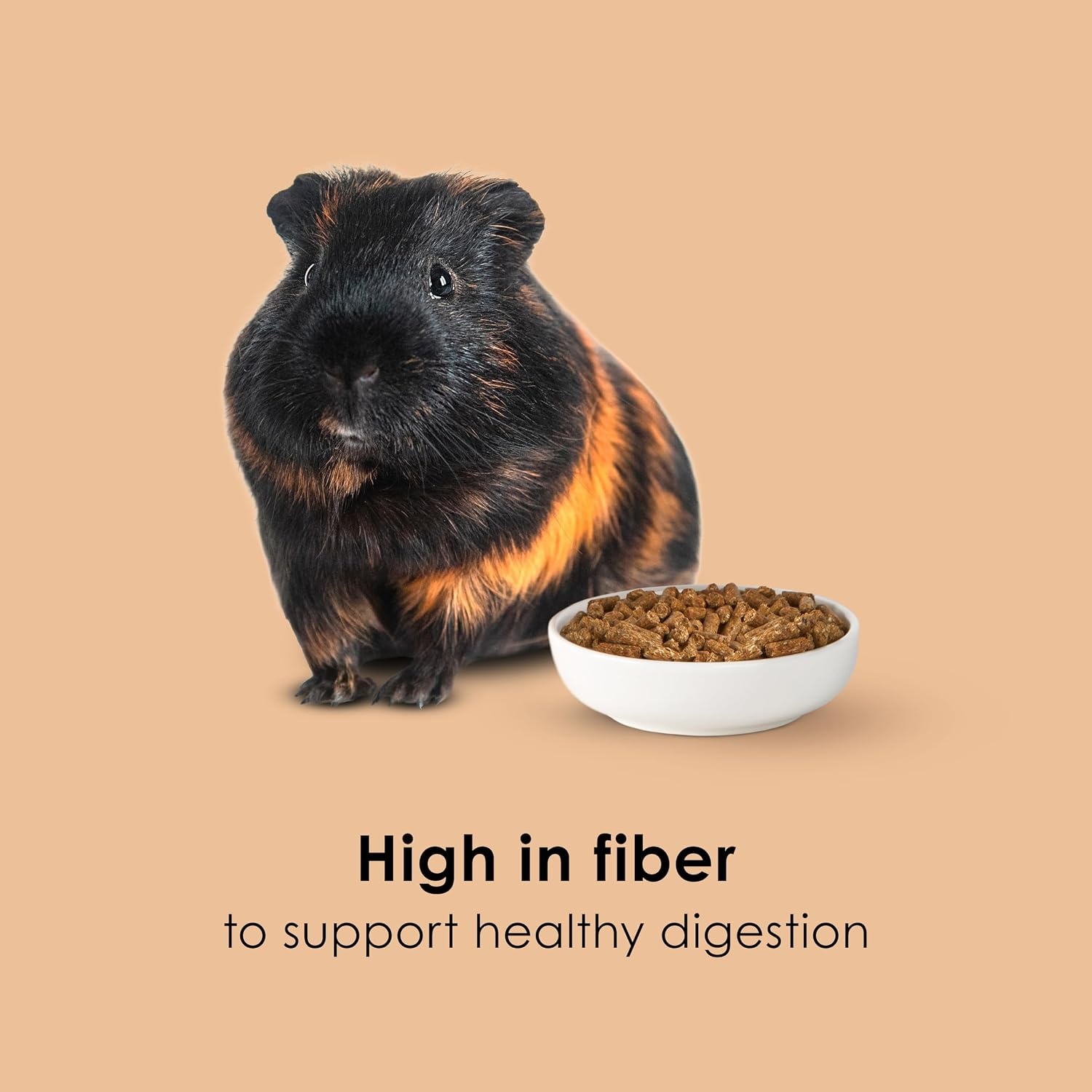image:imageKaytee Timothy Complete Guinea Pig Food with Timothy Hay 25 Pounds5 Pound Pack of 1